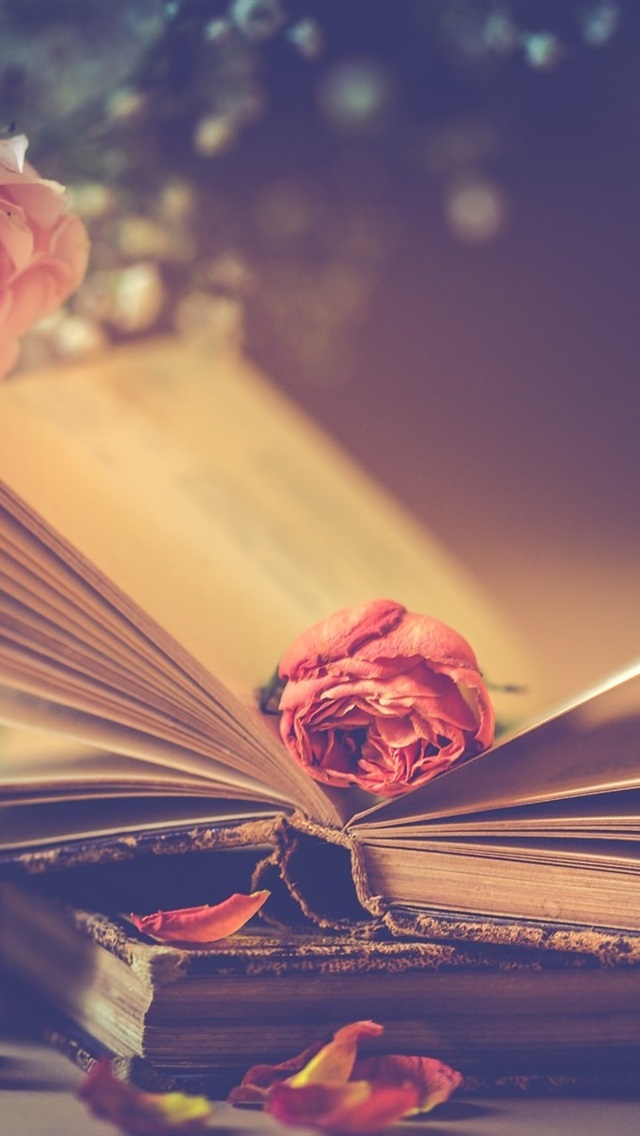 Iphone Wallpaper Pink Roses And Books, Romantic - Fond D Écran Livre - HD Wallpaper 