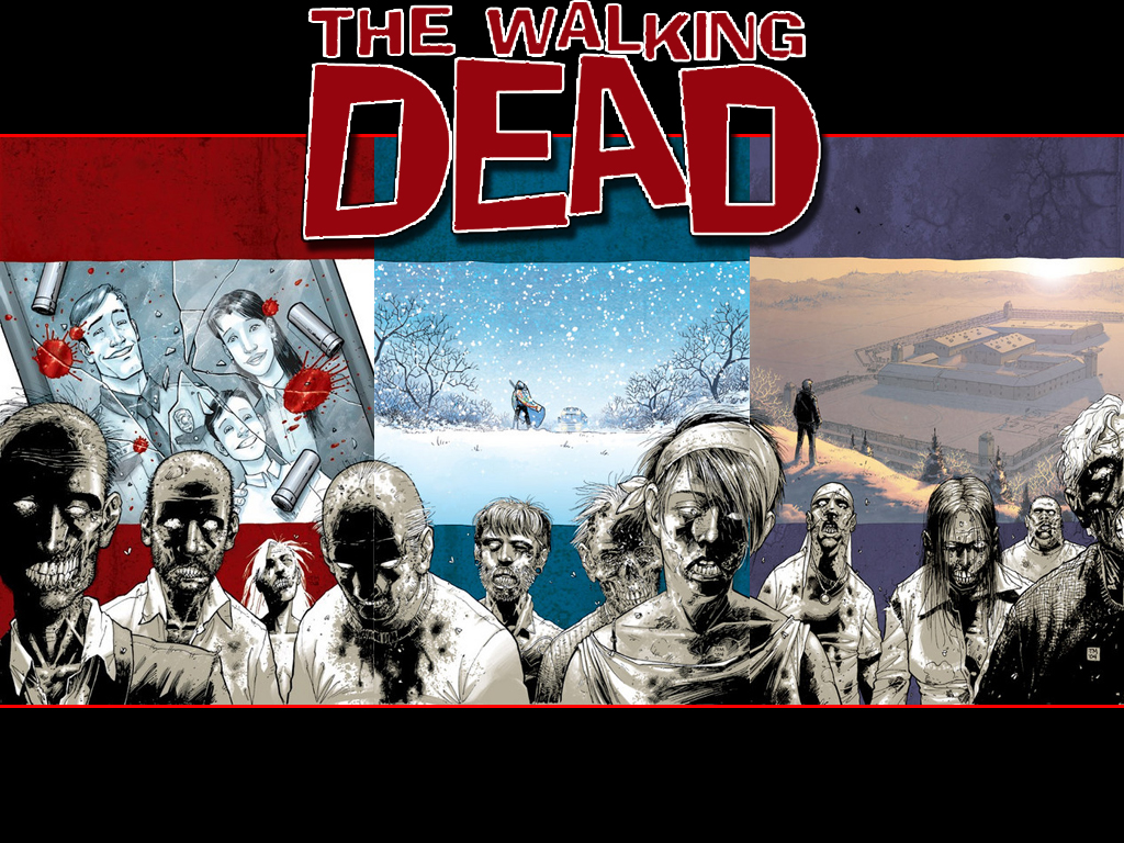 Walking Dead Comic Book - HD Wallpaper 