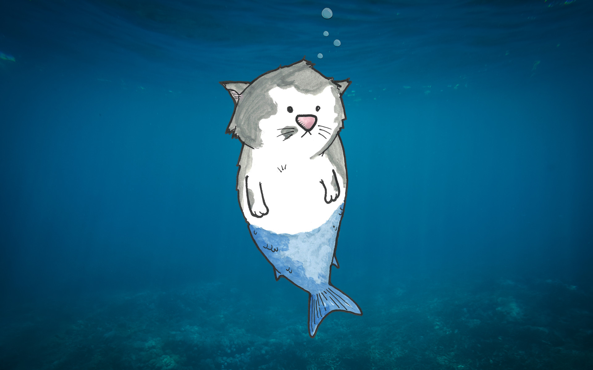 Hamster - HD Wallpaper 