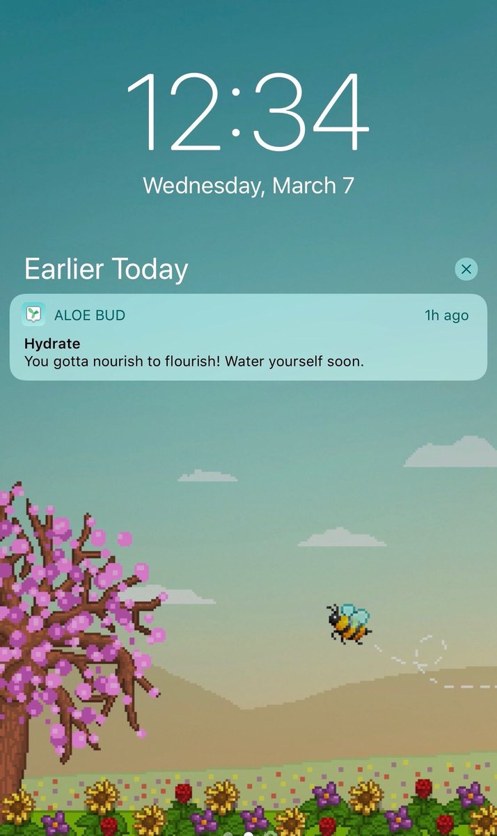 Aloe Bud Free - HD Wallpaper 