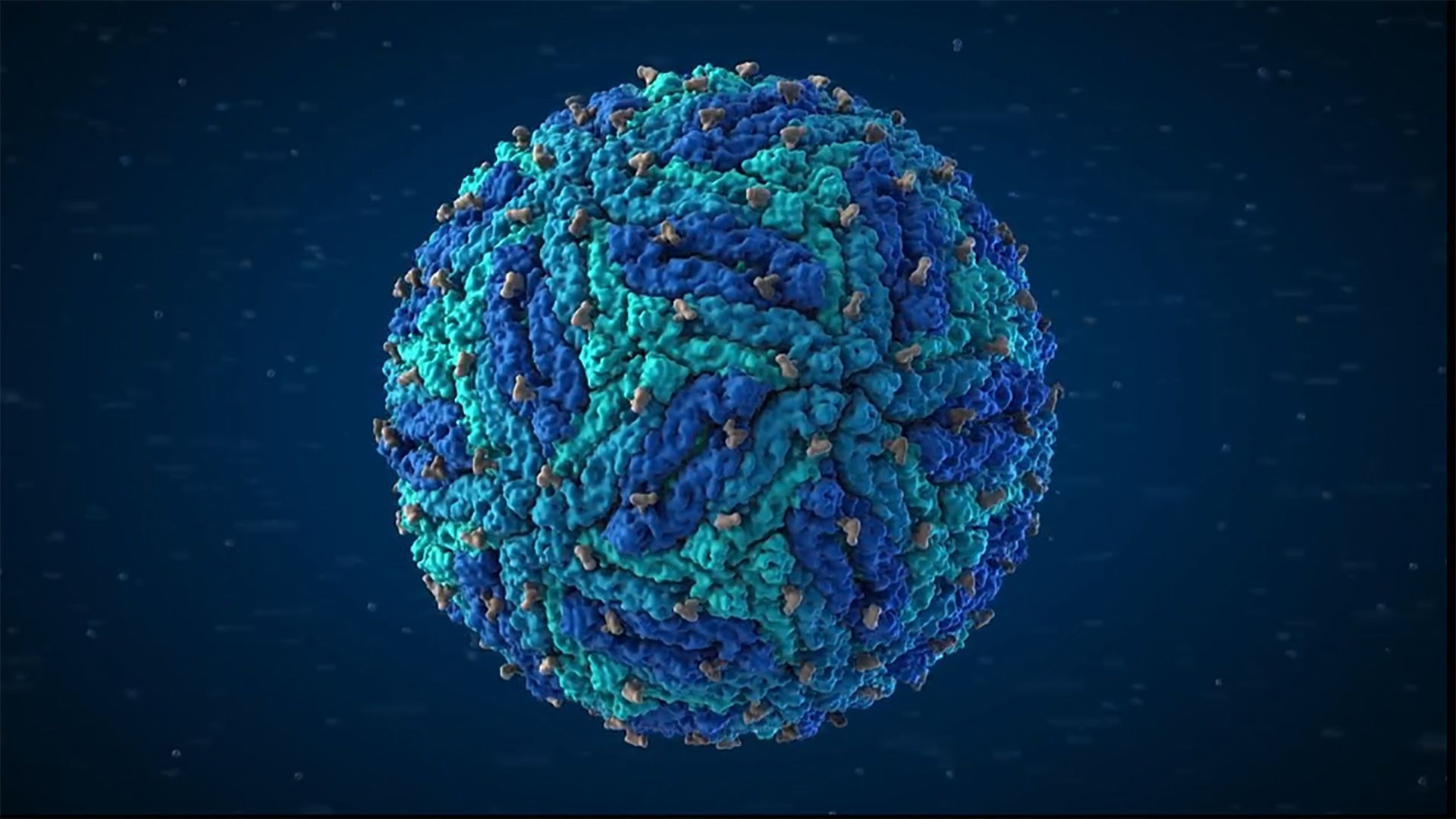 Zika Virus Particles - HD Wallpaper 