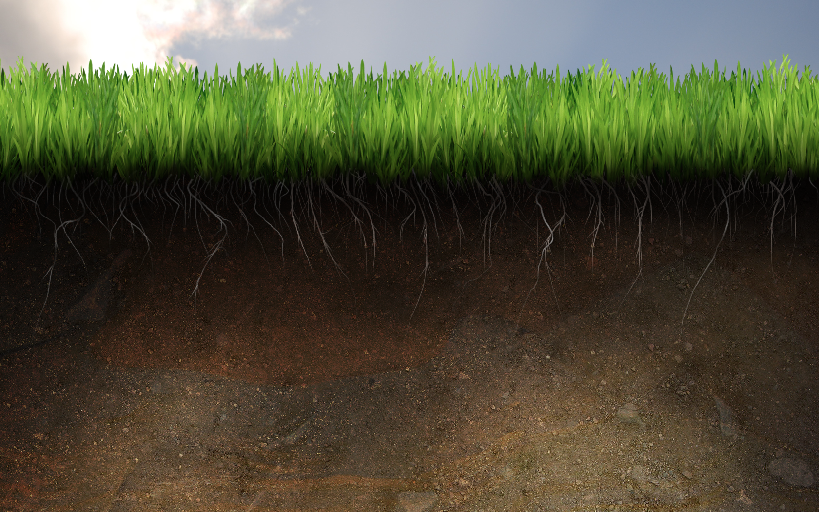 Grass Soil - HD Wallpaper 