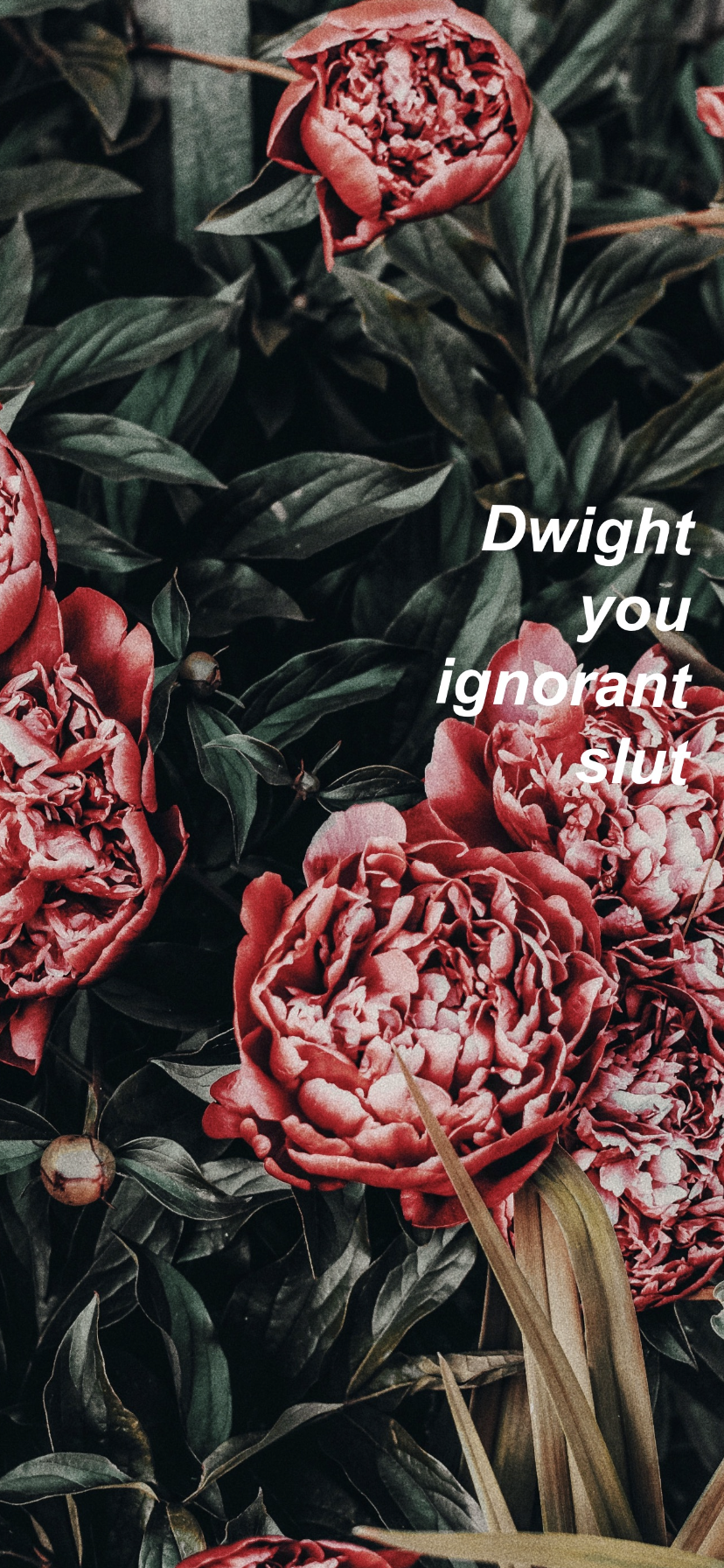 Iphone X Wallpaper The Office - HD Wallpaper 