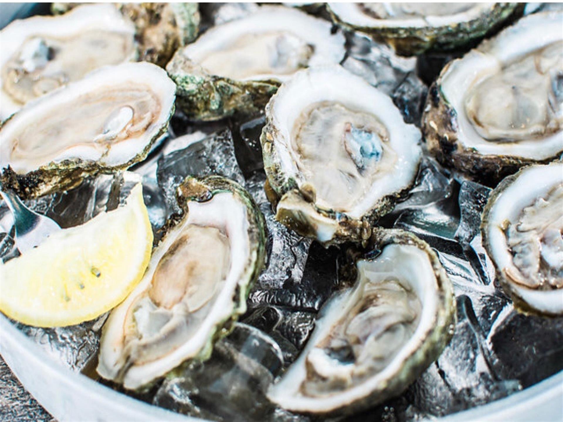 Tiostrea Chilensis - HD Wallpaper 