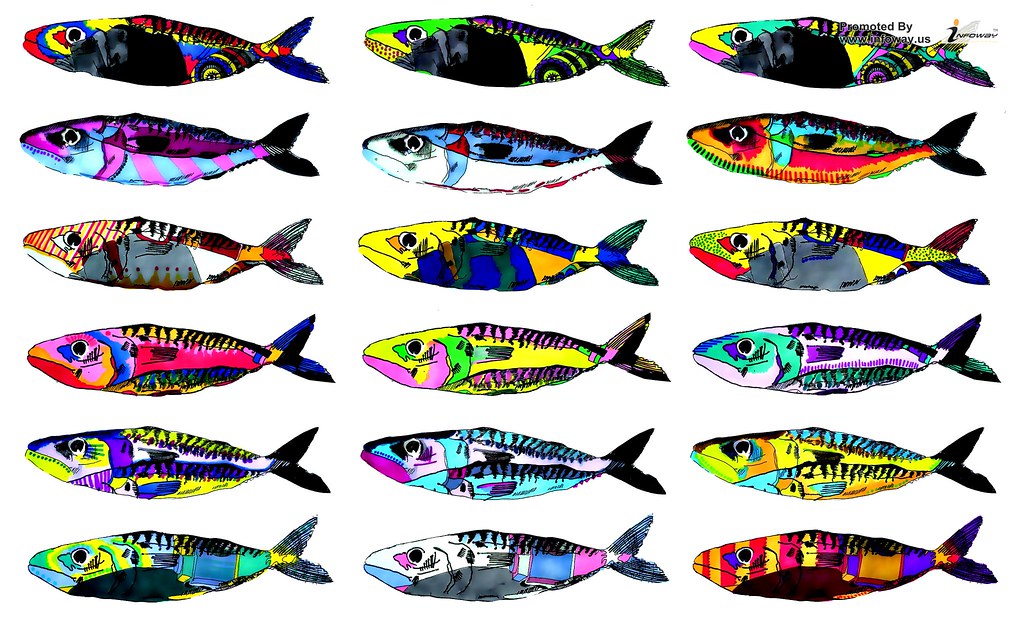 Rows Of Fish - HD Wallpaper 