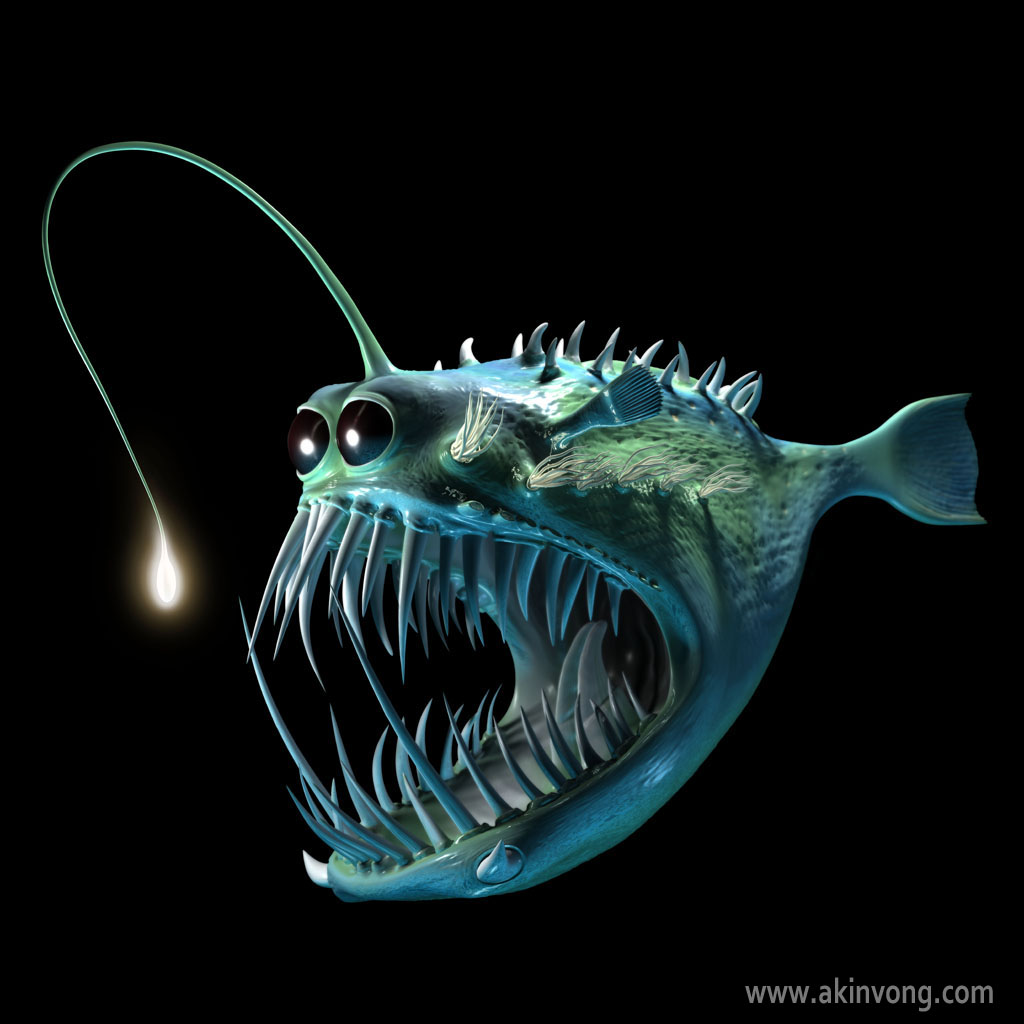 Angler Fish - HD Wallpaper 