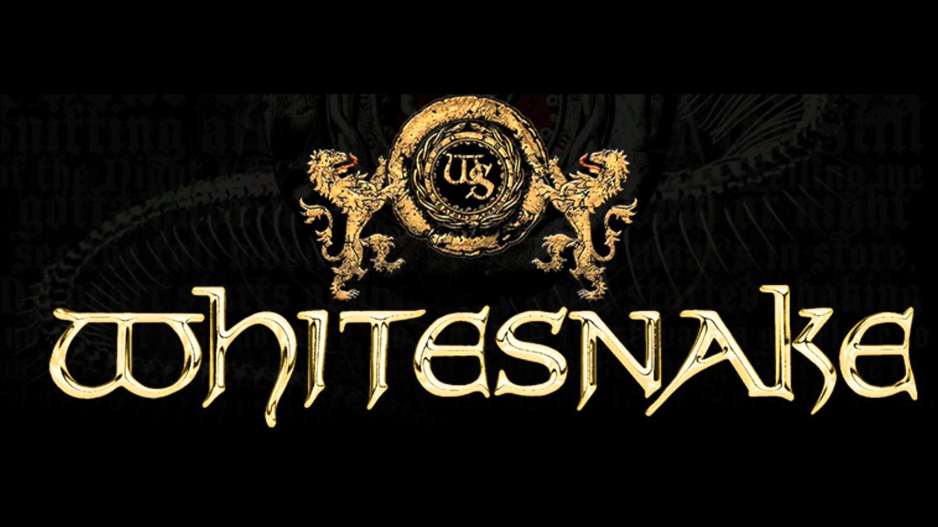 1920x1080, Images For > Whitesnake Wallpaper 
 Data - Whitesnake Hd - HD Wallpaper 