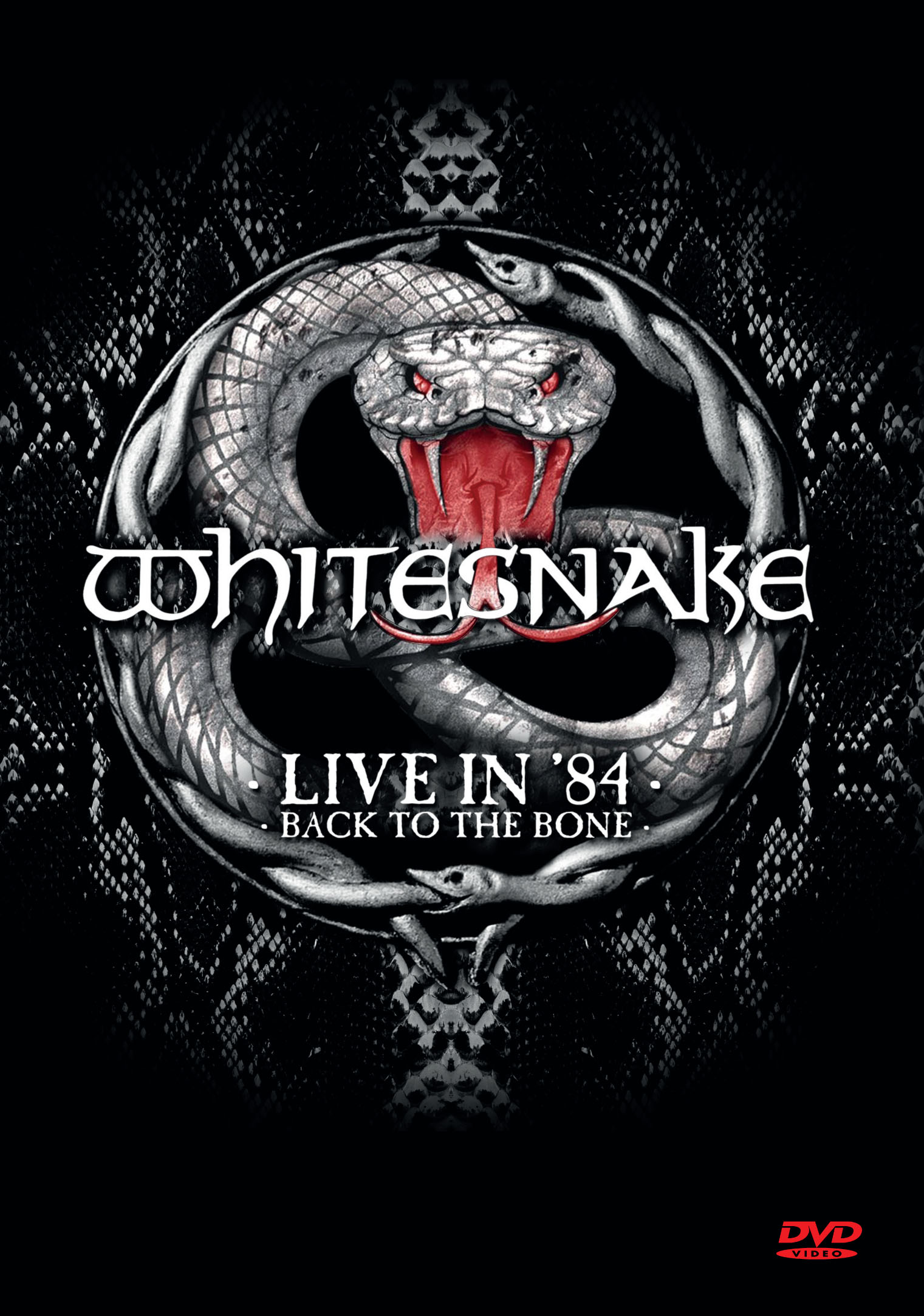 Whitesnake Live In 1984 Back To The Bone - HD Wallpaper 