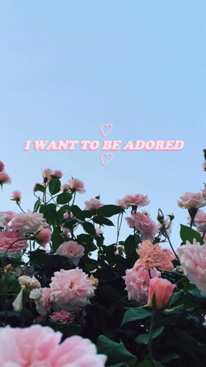 She's An Angel My Only Angel - HD Wallpaper 