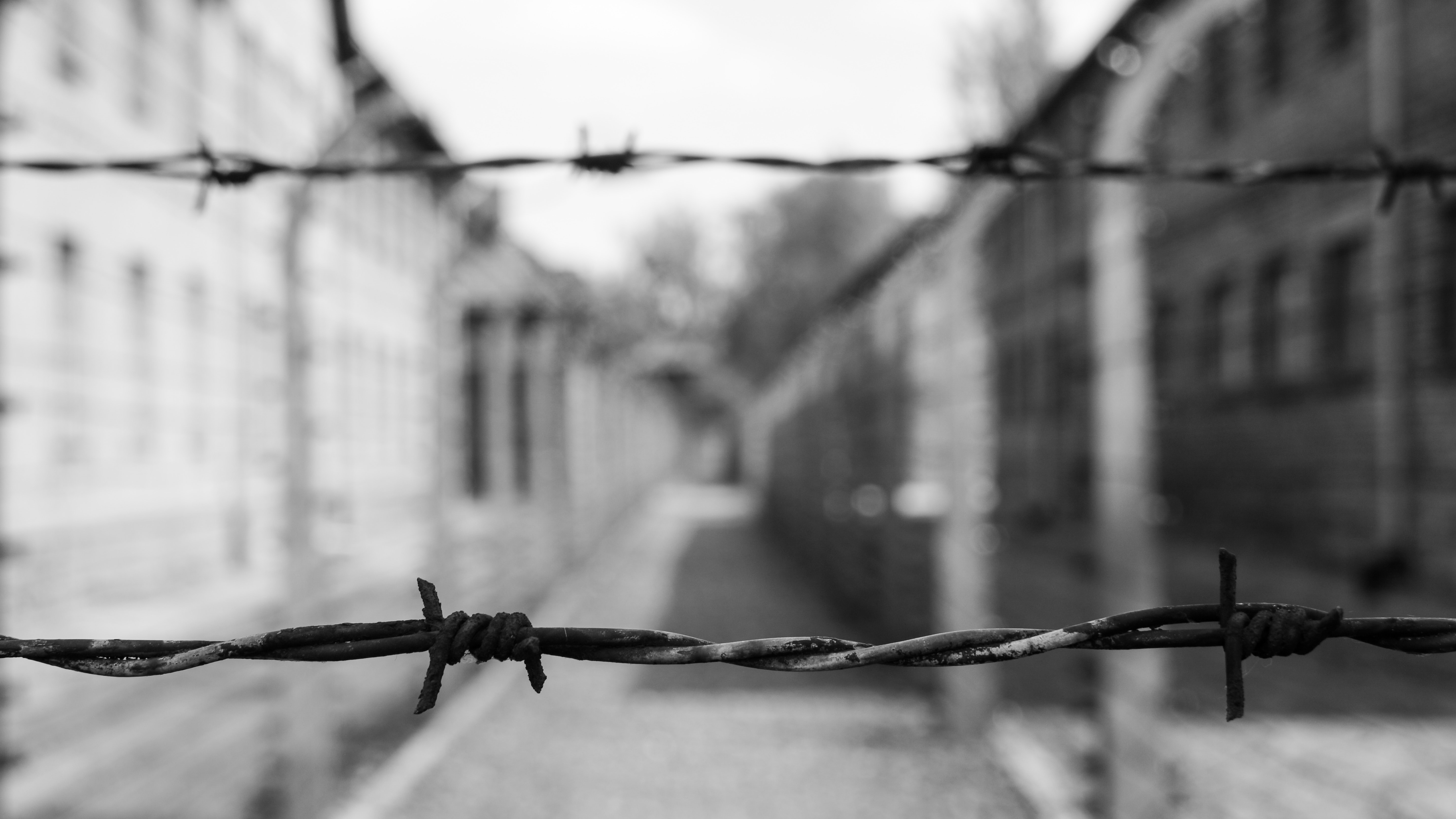 Barbed Wire - 5911x3326 Wallpaper - teahub.io