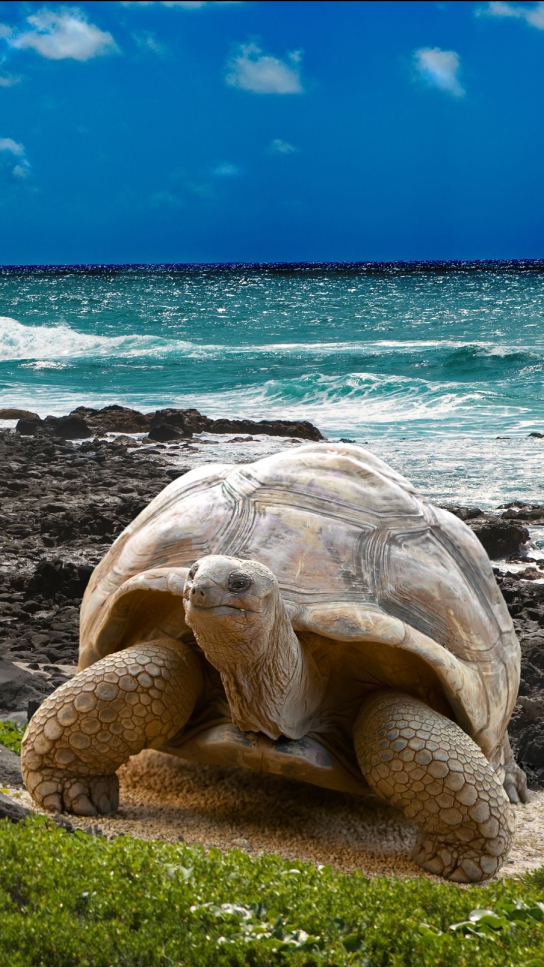 Galapagos Islands - HD Wallpaper 