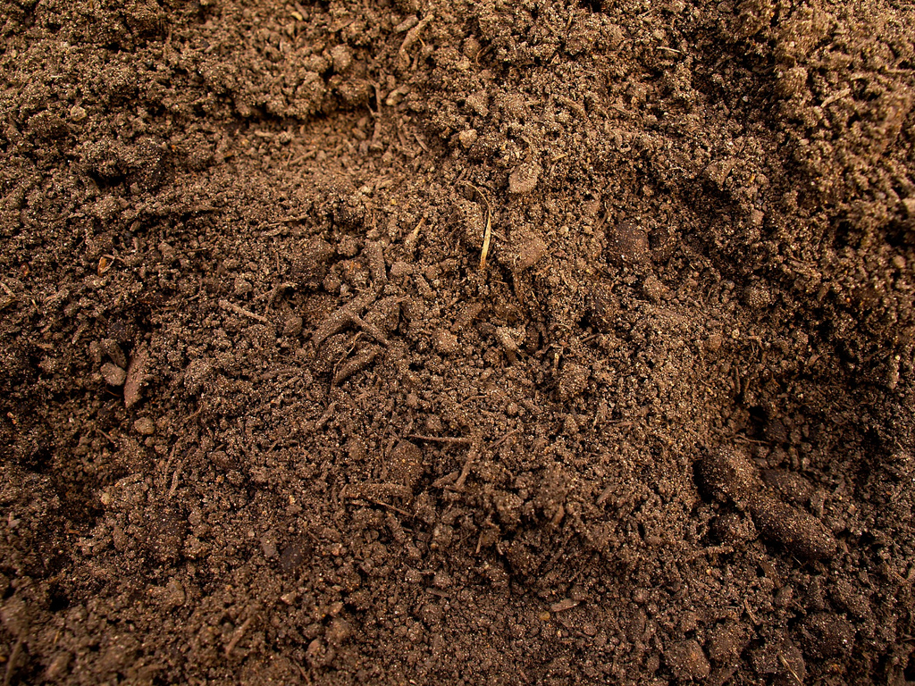 251586878 Dfeb7d215a B - Brown Soil - HD Wallpaper 
