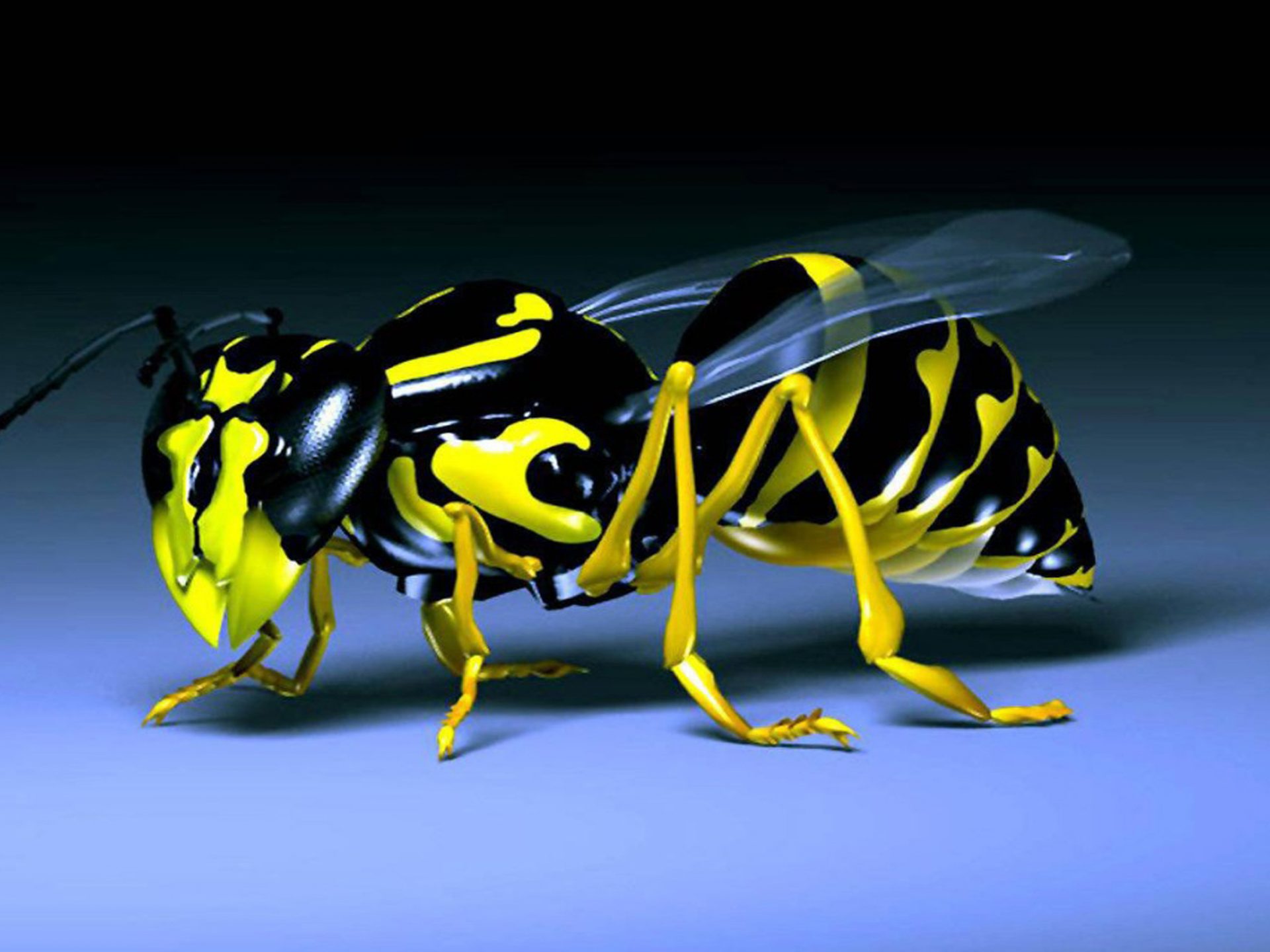 3d Animated Pictures Free Download - HD Wallpaper 