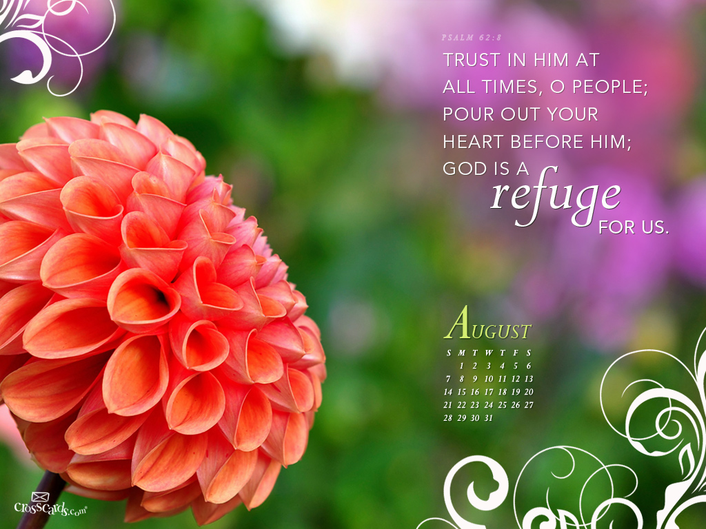 8 Trust In Him Christian Wallpaper Free Download - Flower Bible Verse Desktop Background - HD Wallpaper 