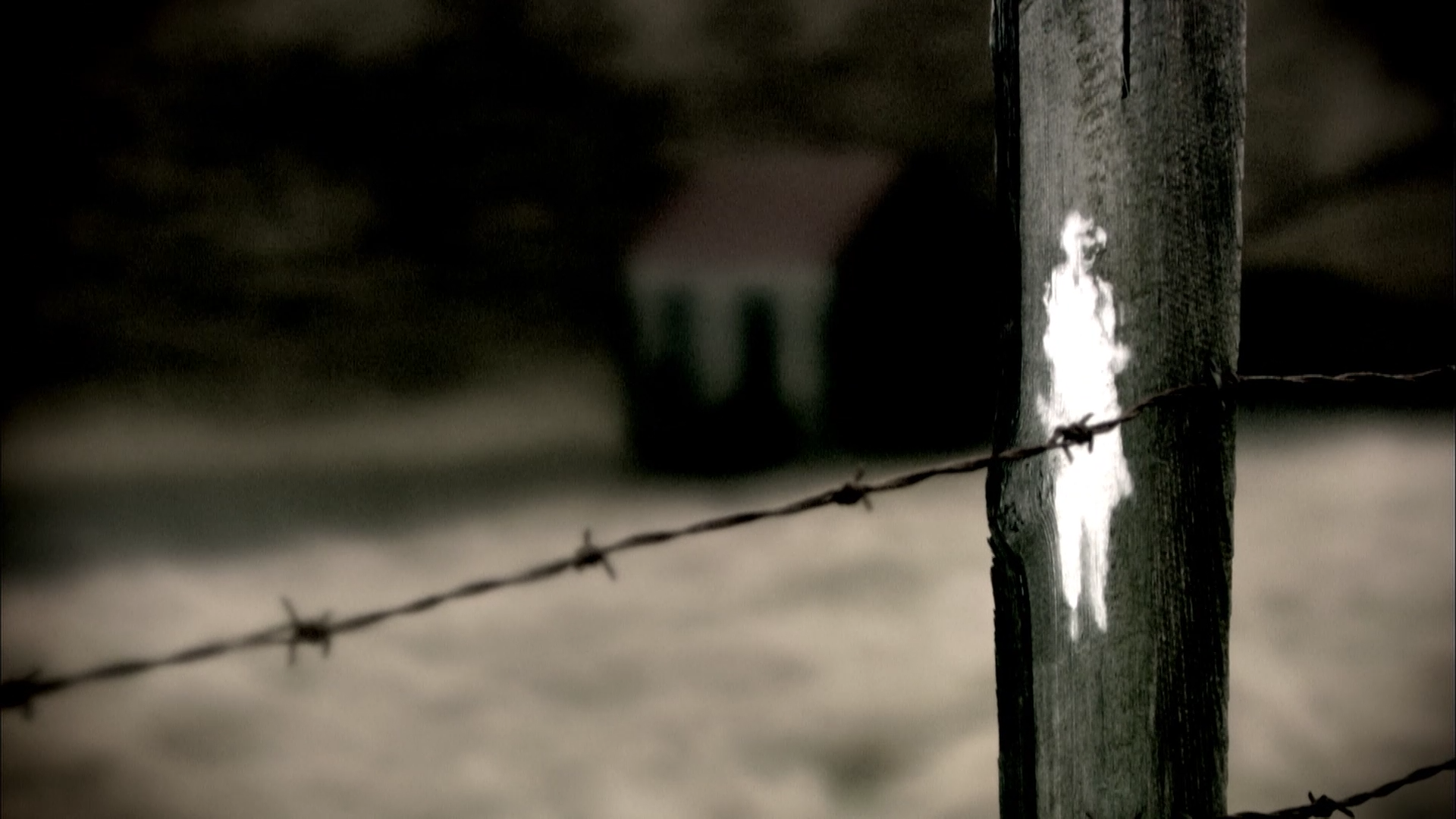Barbed Wire - HD Wallpaper 