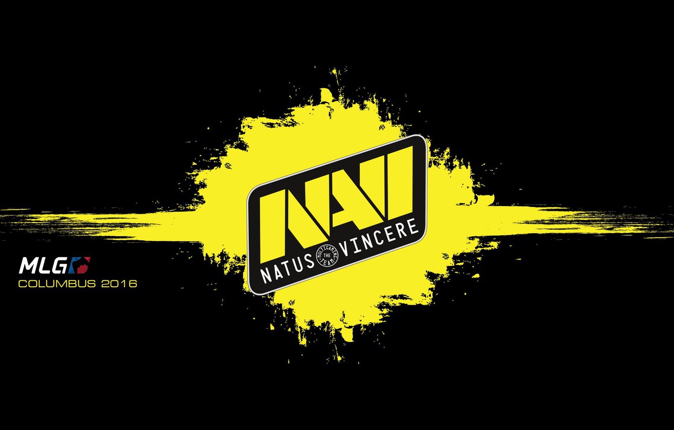 Photo Wallpaper Logo, Na Vi, Counter-strike, Black - Navi Csgo Logo - HD Wallpaper 