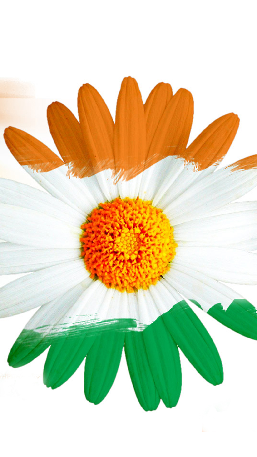 Indian Flag Colour Flowers - 1080x1920 Wallpaper 
