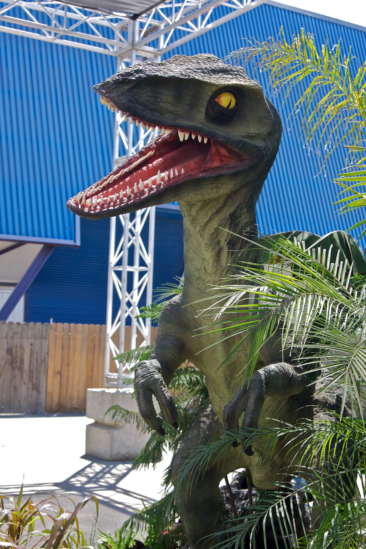 A Life Sized Dinosaur Lurks In The Bushes - Raptor Dinosaur Wallpaper Iphone - HD Wallpaper 