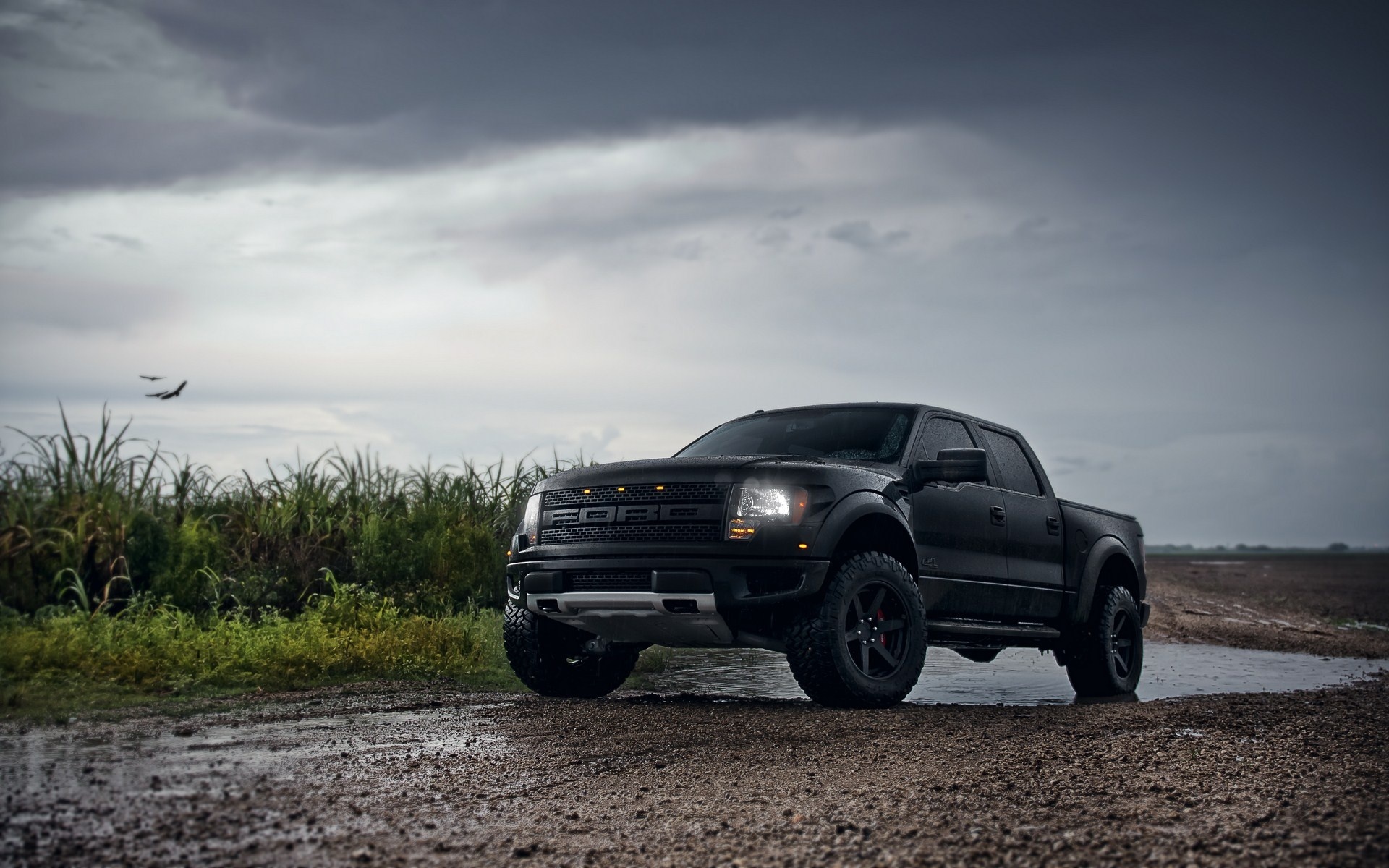 Red Ford F150 Svt Raptor 2014 Wallpaper Hd Wallpaper - Ford Raptor Hd - HD Wallpaper 