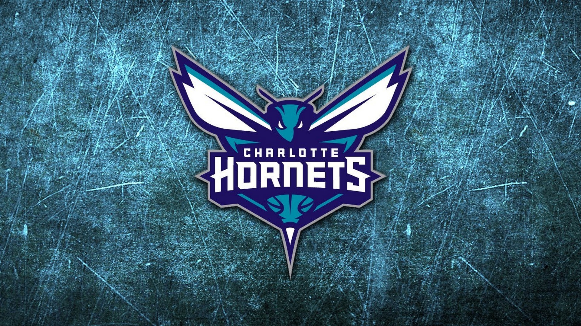Charlotte Hornets Wallpaper Hd - Charlotte Hornets - HD Wallpaper 