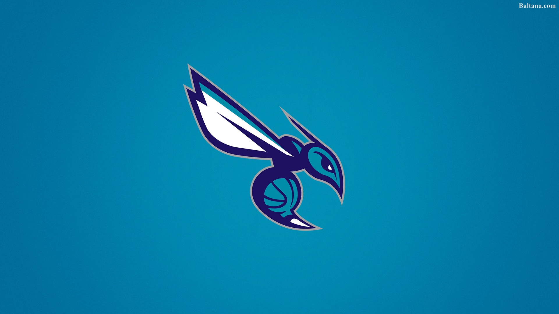 Charlotte Hornets Background Wallpaper - Charlotte Hornets - HD Wallpaper 