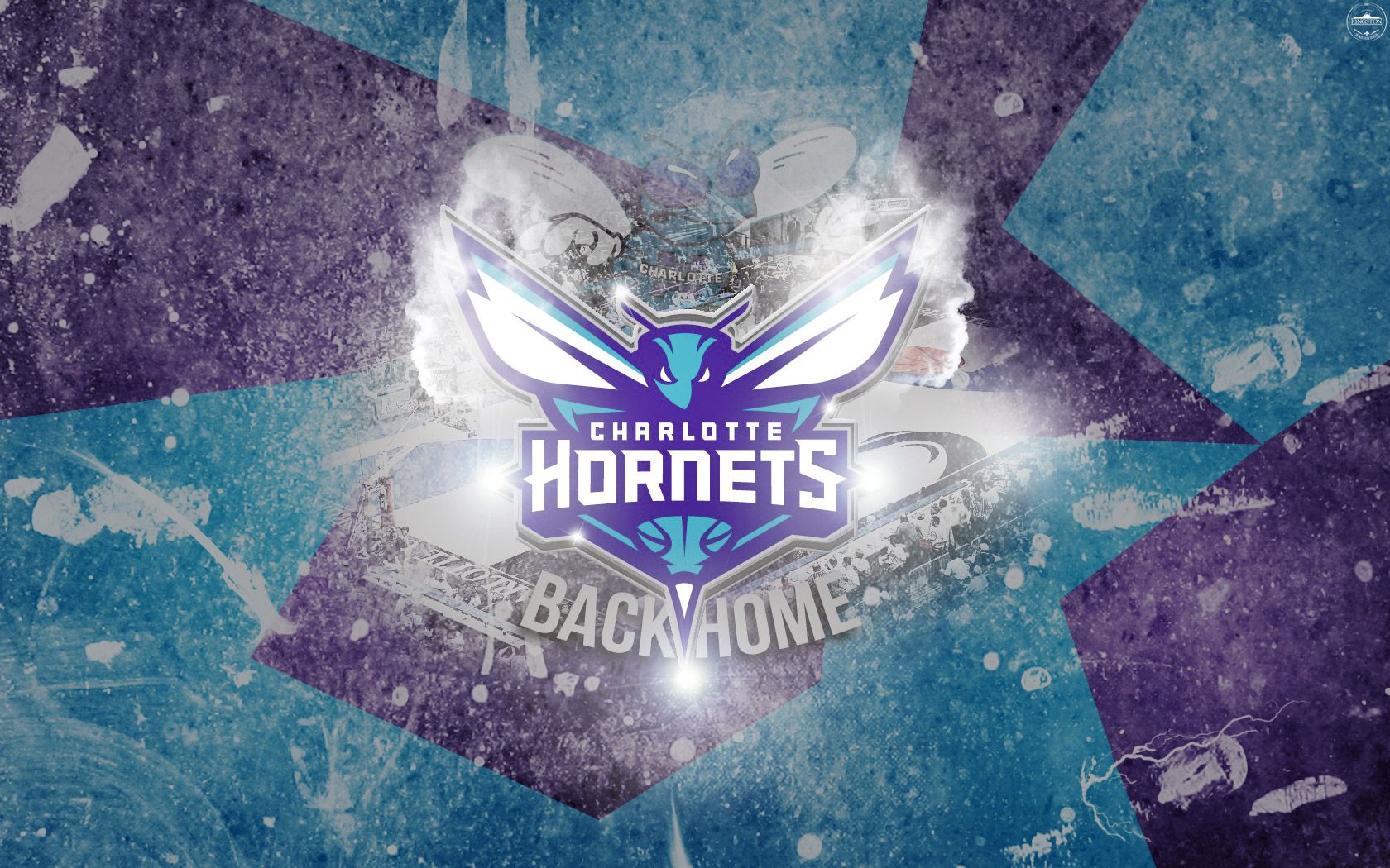 Charlotte Hornets - HD Wallpaper 