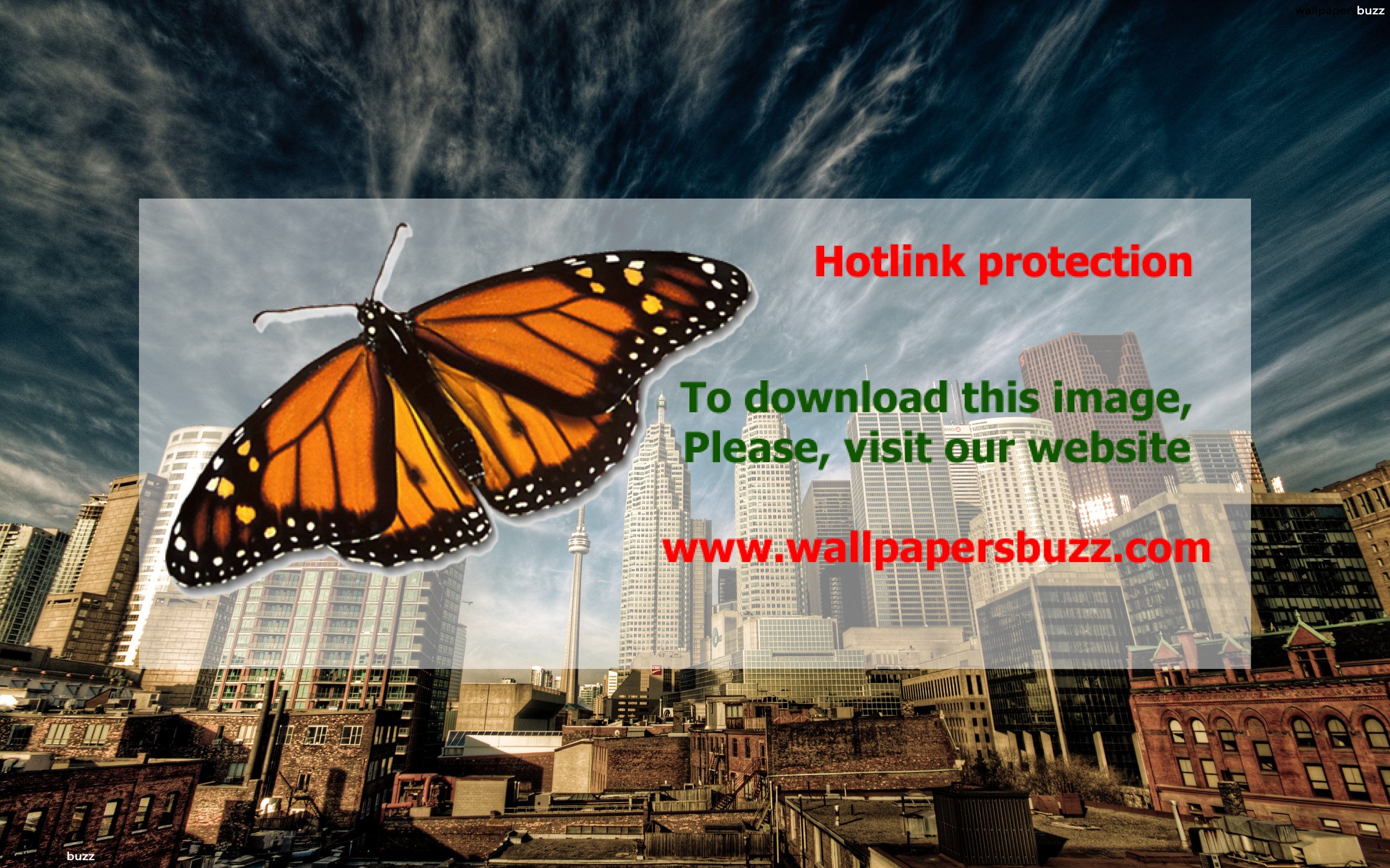 City Landscape Hd - HD Wallpaper 