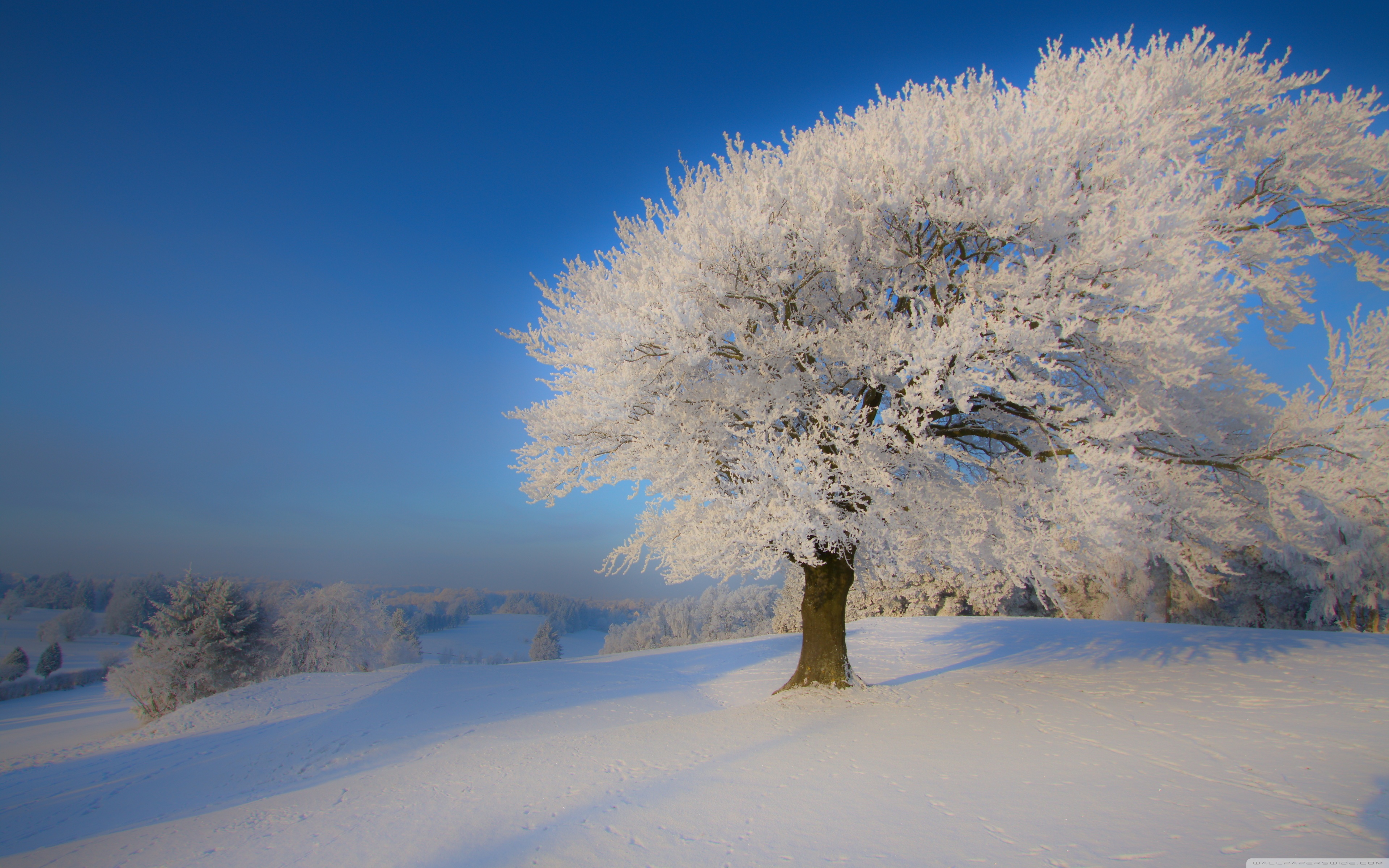 Beautiful Winter Landscapes - HD Wallpaper 