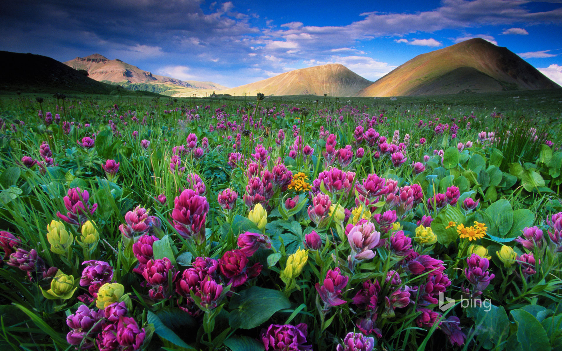 American Lakes Area Of State Forest State Park In Colorado - Hb Zbook Mobile Workstation - HD Wallpaper 