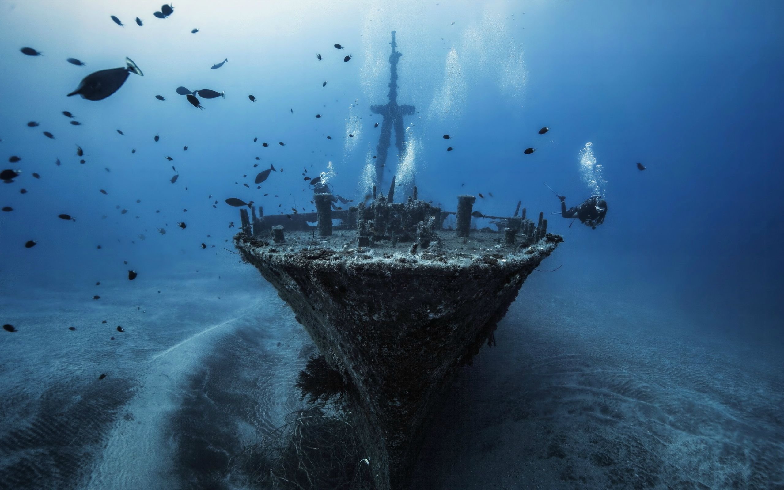 Fallen Vessel Wallpaper - Underwater Ship - HD Wallpaper 