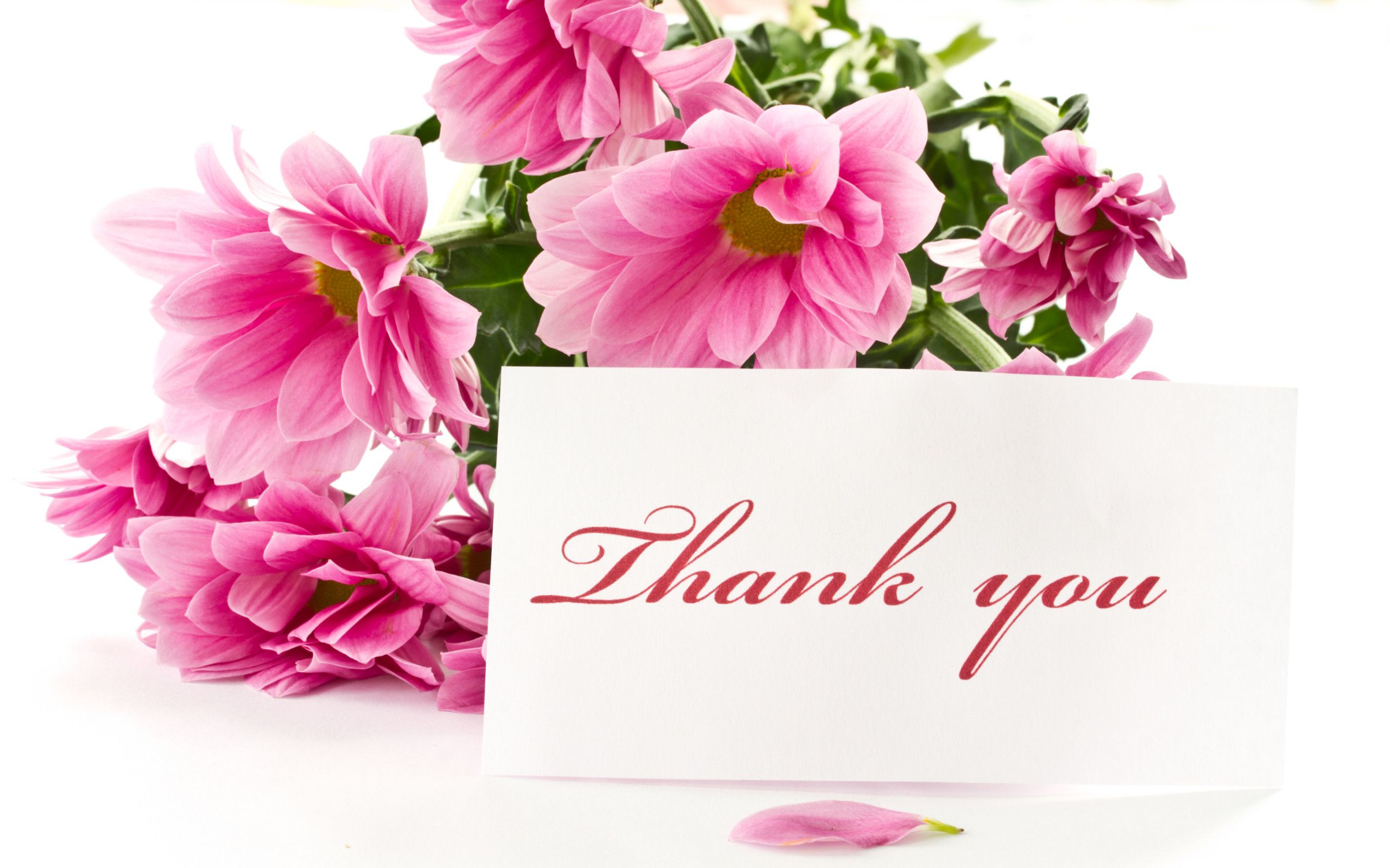 Thank You Wallpapers Hd - HD Wallpaper 