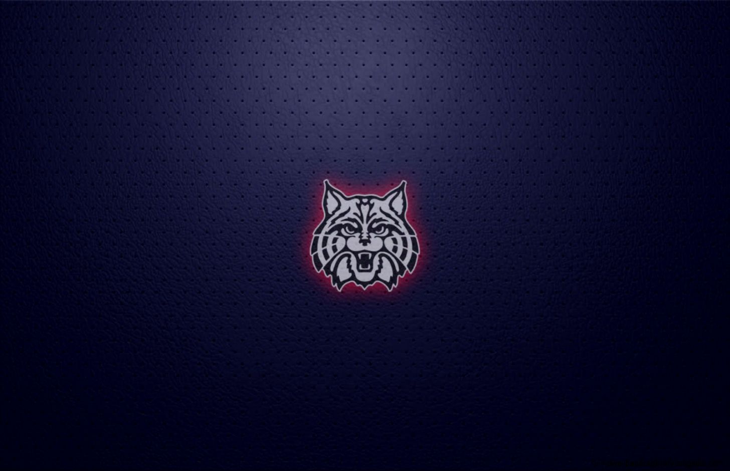 Arizona Wildcats Wallpaper Phone Best Online - University Of Arizona Wildcats - HD Wallpaper 