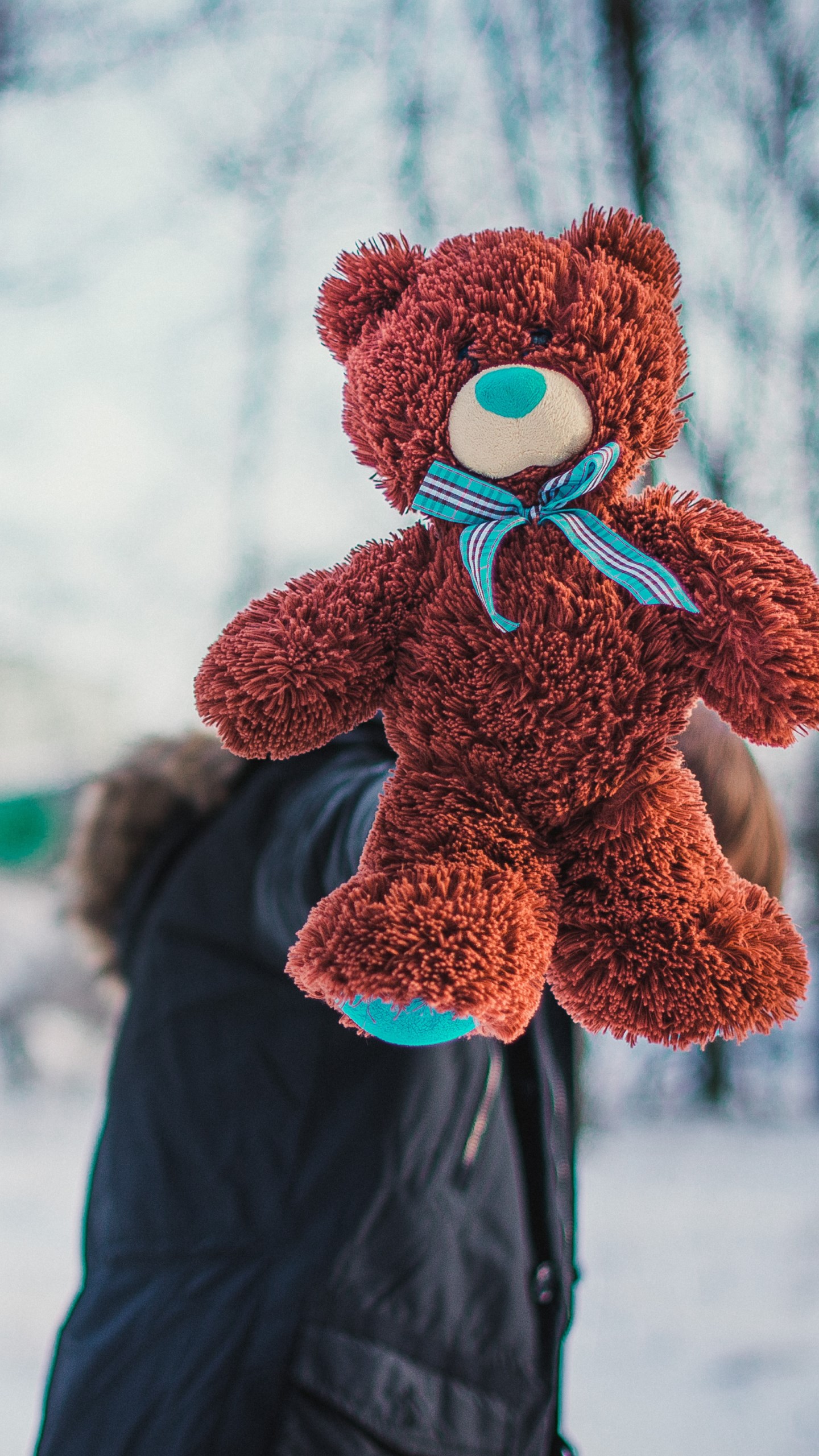 Meet My New Teddy Bear Wallpaper - Wallpaper - HD Wallpaper 