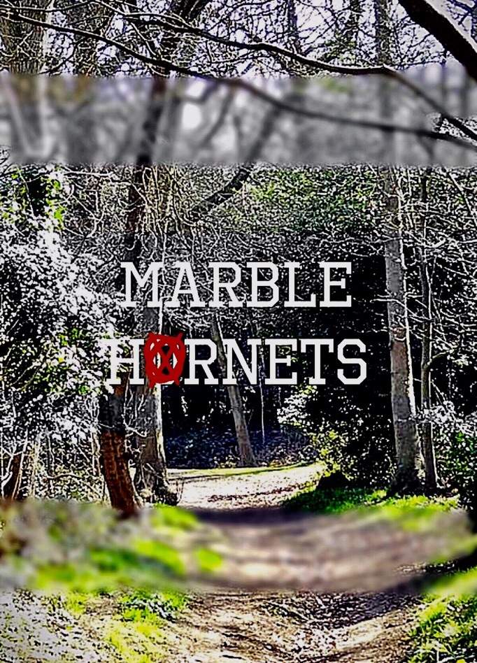 User Uploaded Image - Tree - HD Wallpaper 