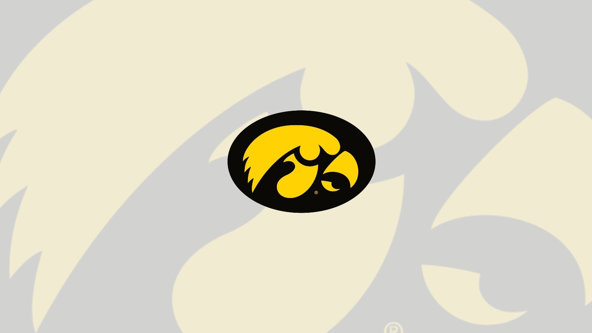 Iowa Hawkeyes Logo Wallpaper Hd Wallpapers 1080p Iowa - Iowa Hawkeyes Iphone 8 - HD Wallpaper 