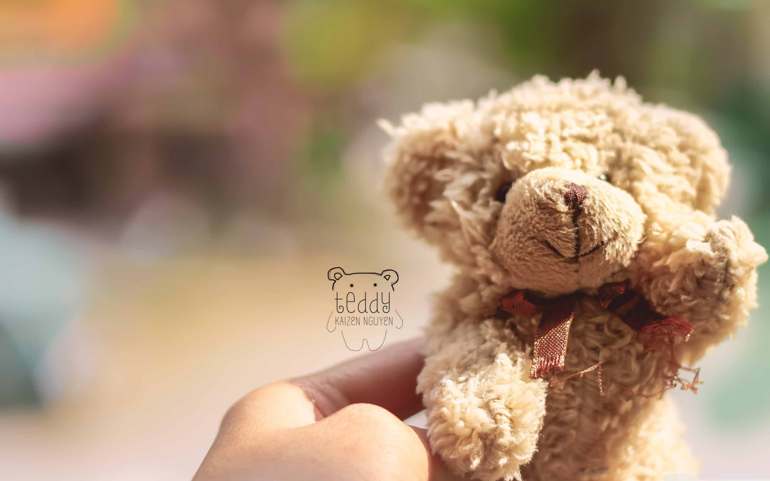Teddy Wallpaper For Desktop - HD Wallpaper 