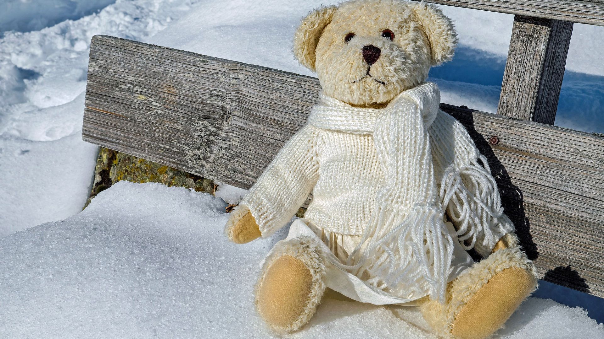 Teddy Bear Sitting In Winter Season - Baby Pictures Photography Background - HD Wallpaper 