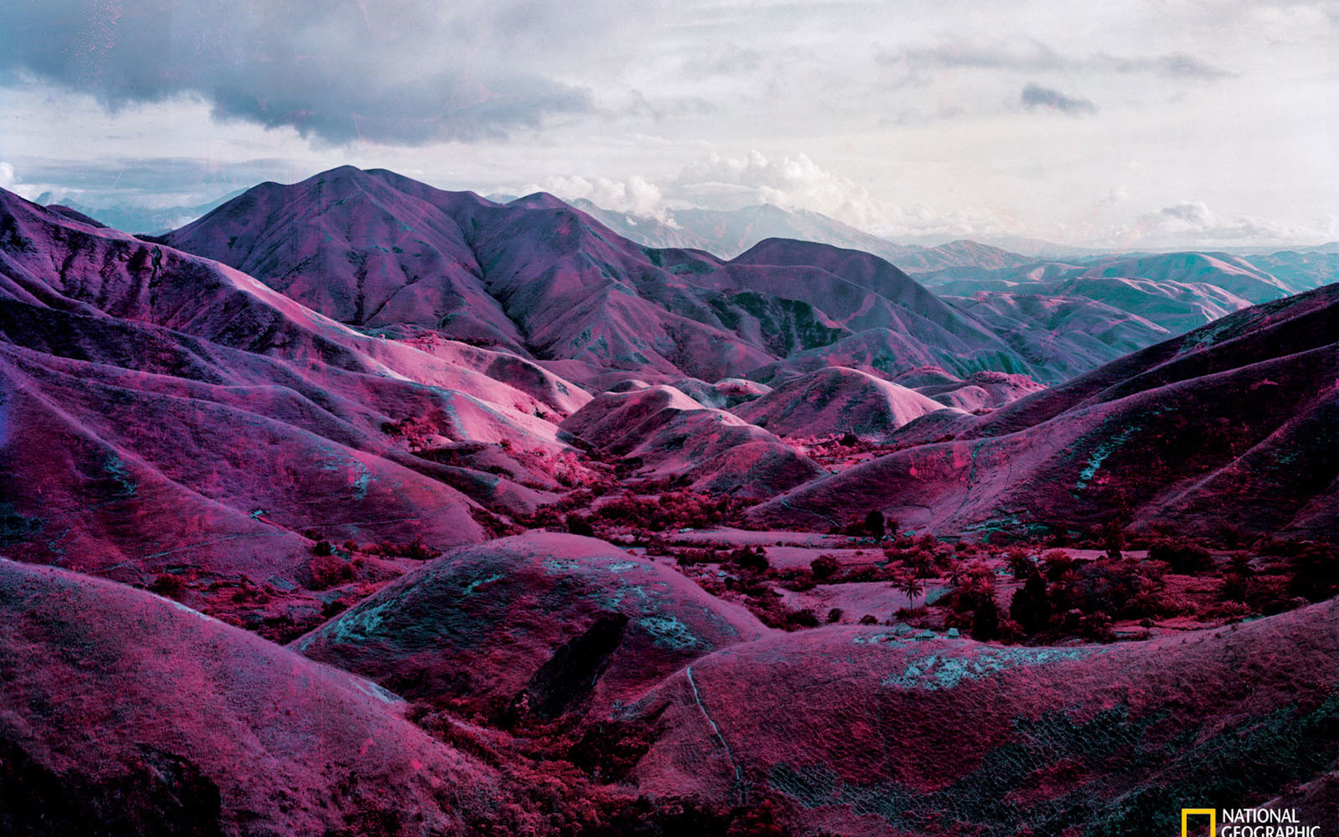 National Geographic 
 Data-src /w/full/e/8/8/80849 - Richard Mosse Nowhere To Run - HD Wallpaper 