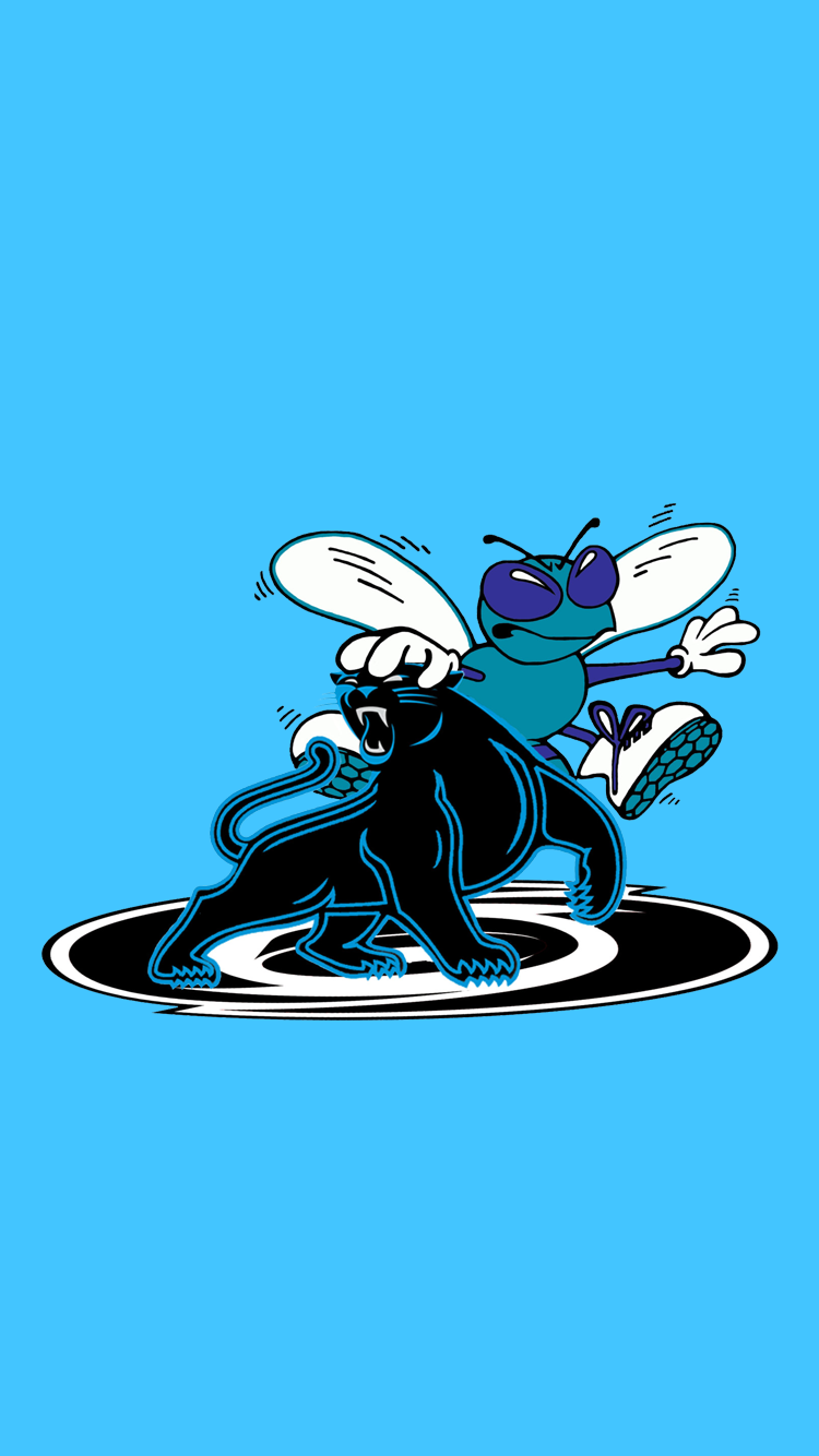Hornets Wallpaper - Carolina Panthers And Charlotte Hornets - HD Wallpaper 