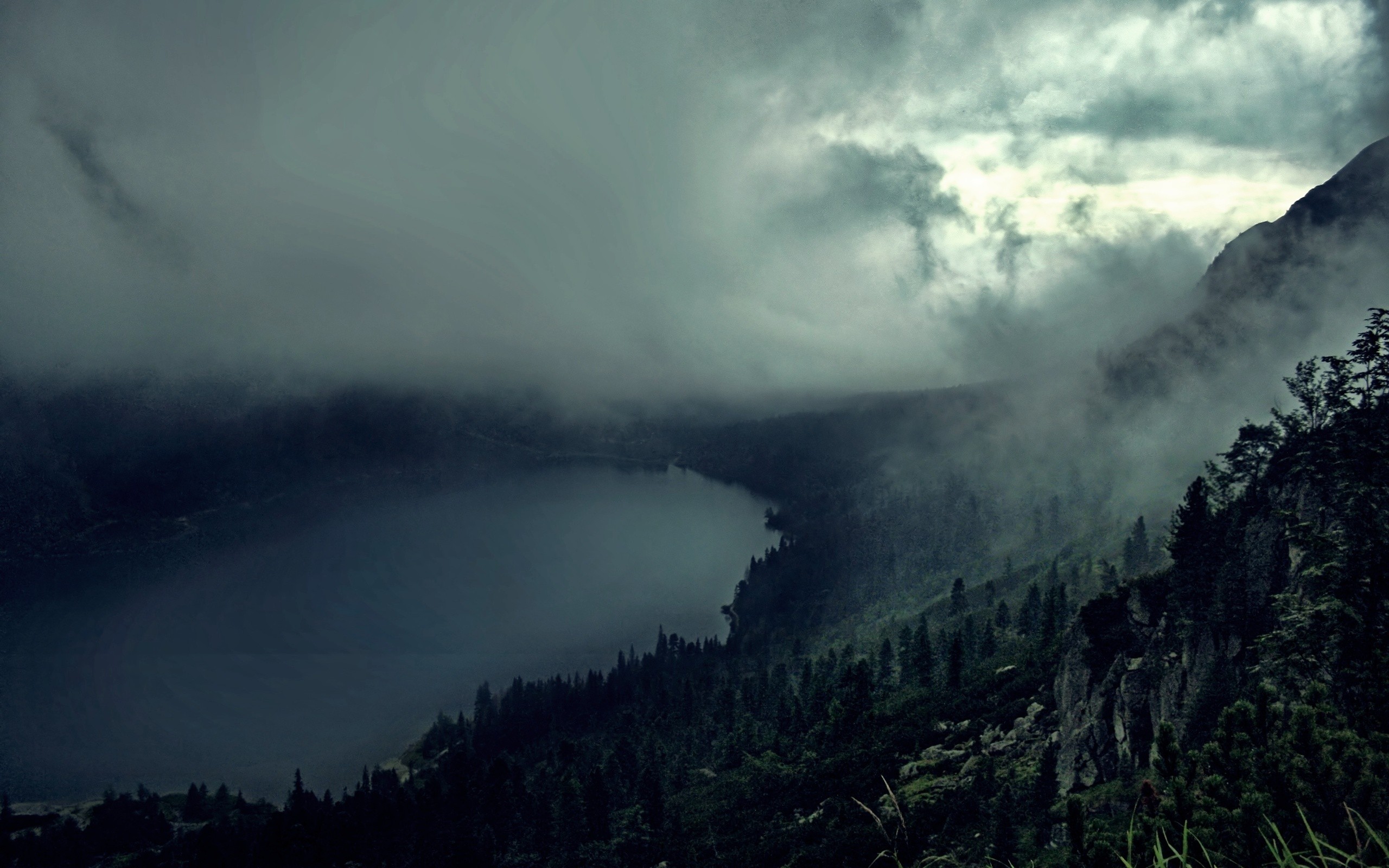 Wiki Dark Foggy Forest And Lake Pictures 
 Data Src - Dark Forest Wallpaper 4k - HD Wallpaper 