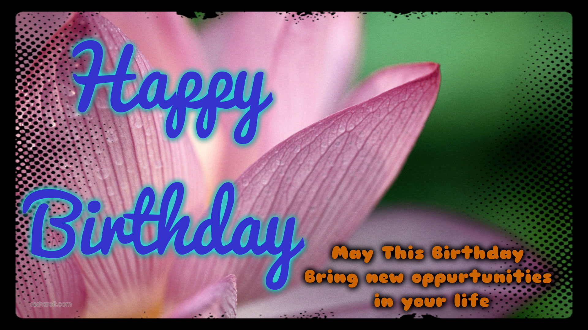 Lotus Flower - HD Wallpaper 