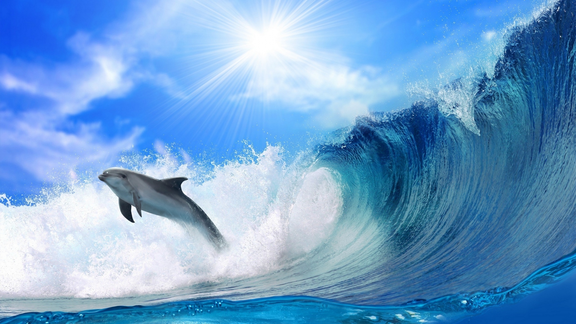 Dolphin Jumping In Sea Waves - Dolphin Wallpaper Hd - HD Wallpaper 