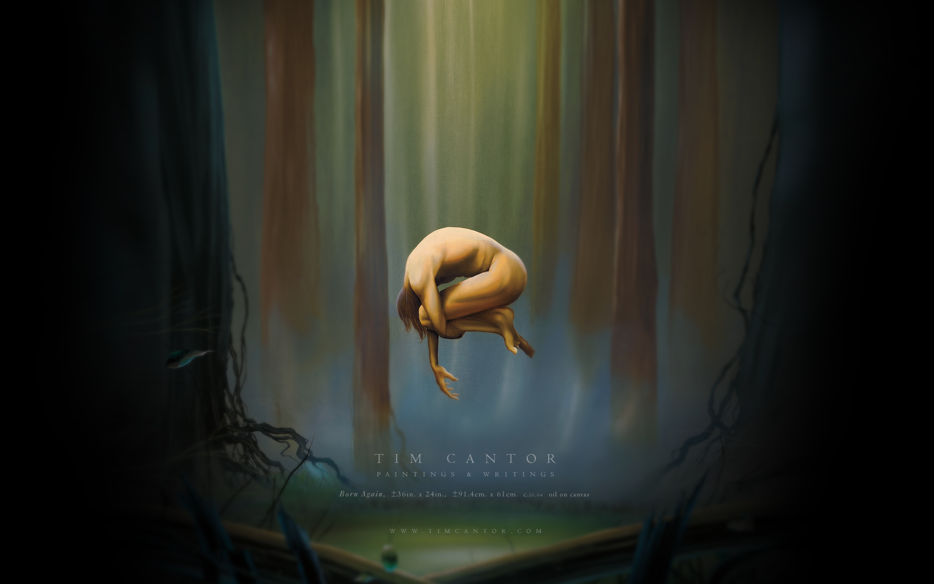 Invertebrate - HD Wallpaper 