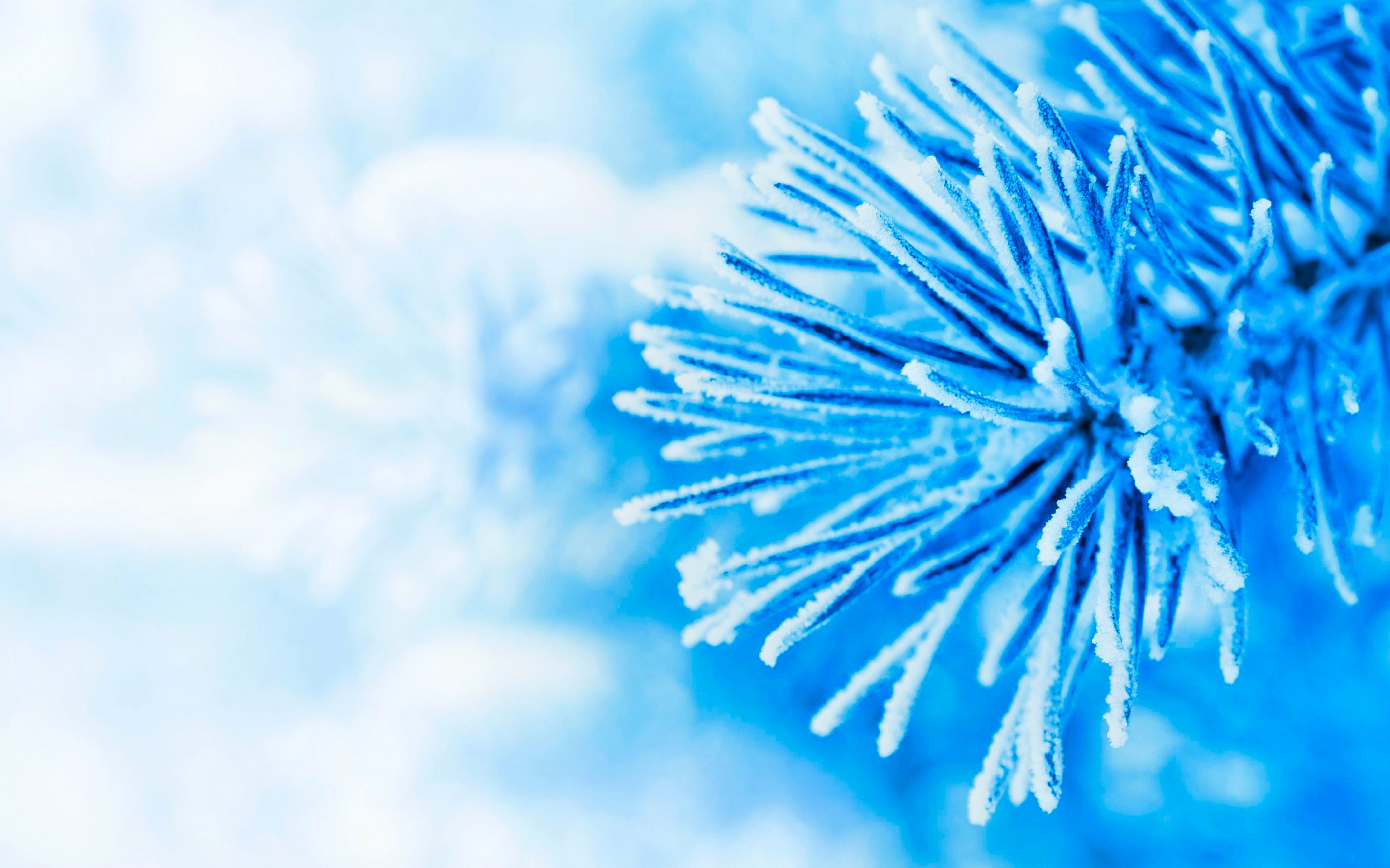 High Resolution Winter Desktop Background - HD Wallpaper 