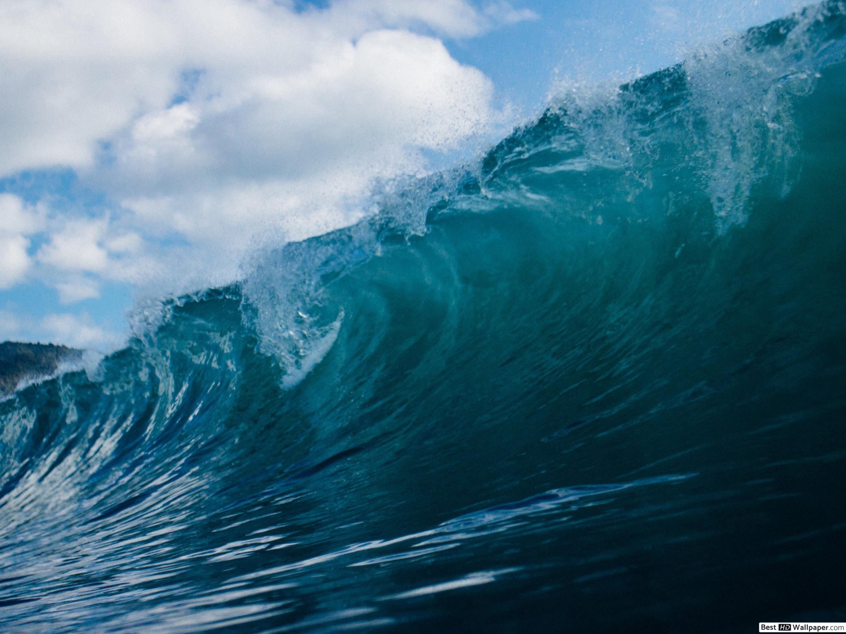 Tsunami Safety Tips - HD Wallpaper 