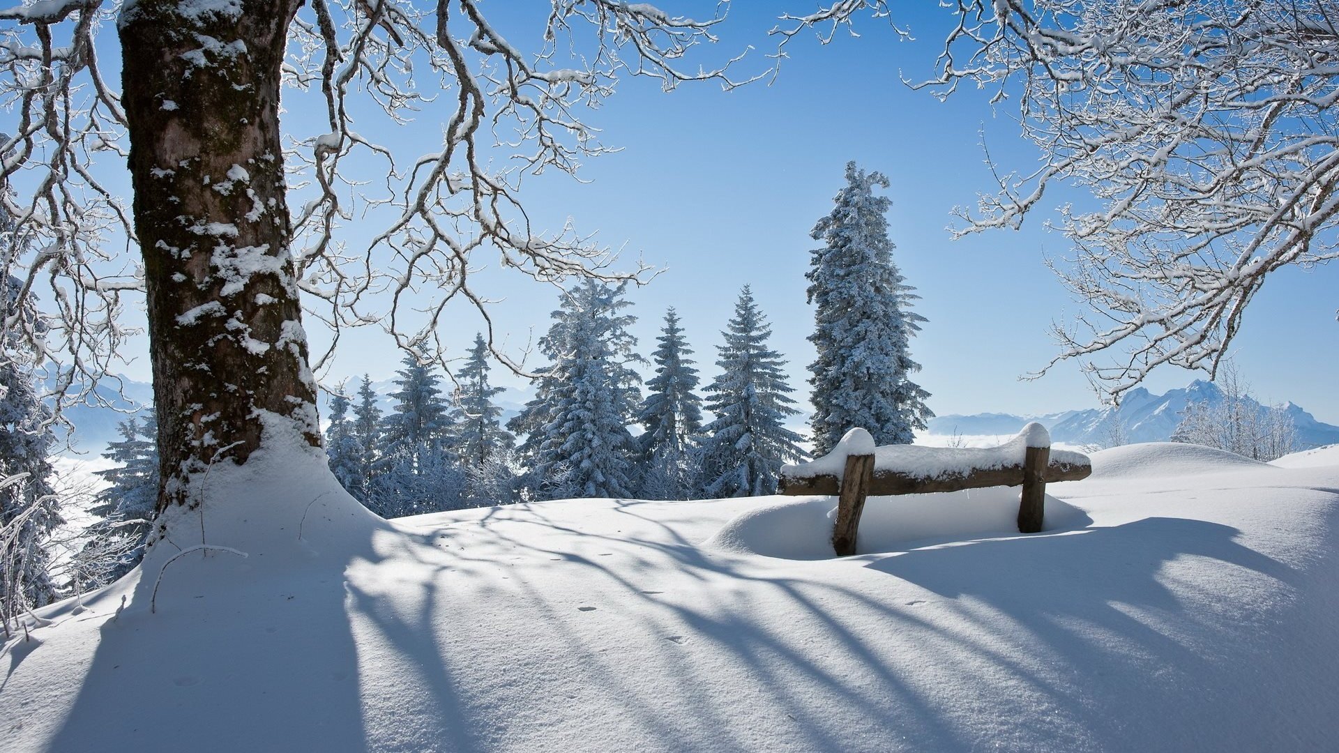 Winter Season Wallpaper - Snow Nature Background - HD Wallpaper 