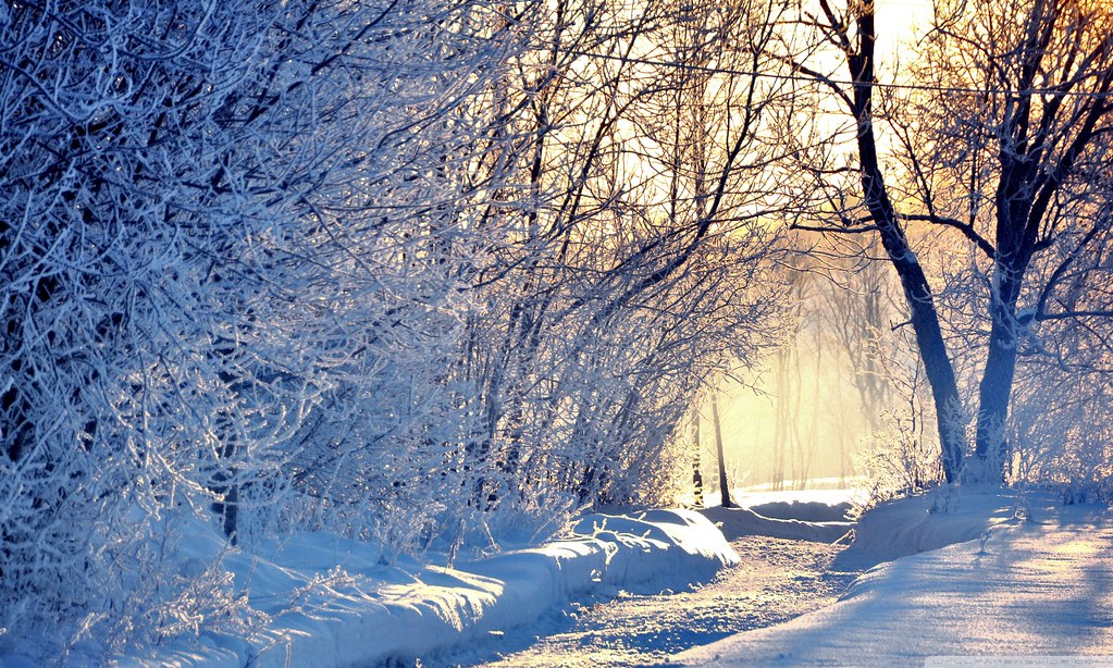 Winter Background - HD Wallpaper 
