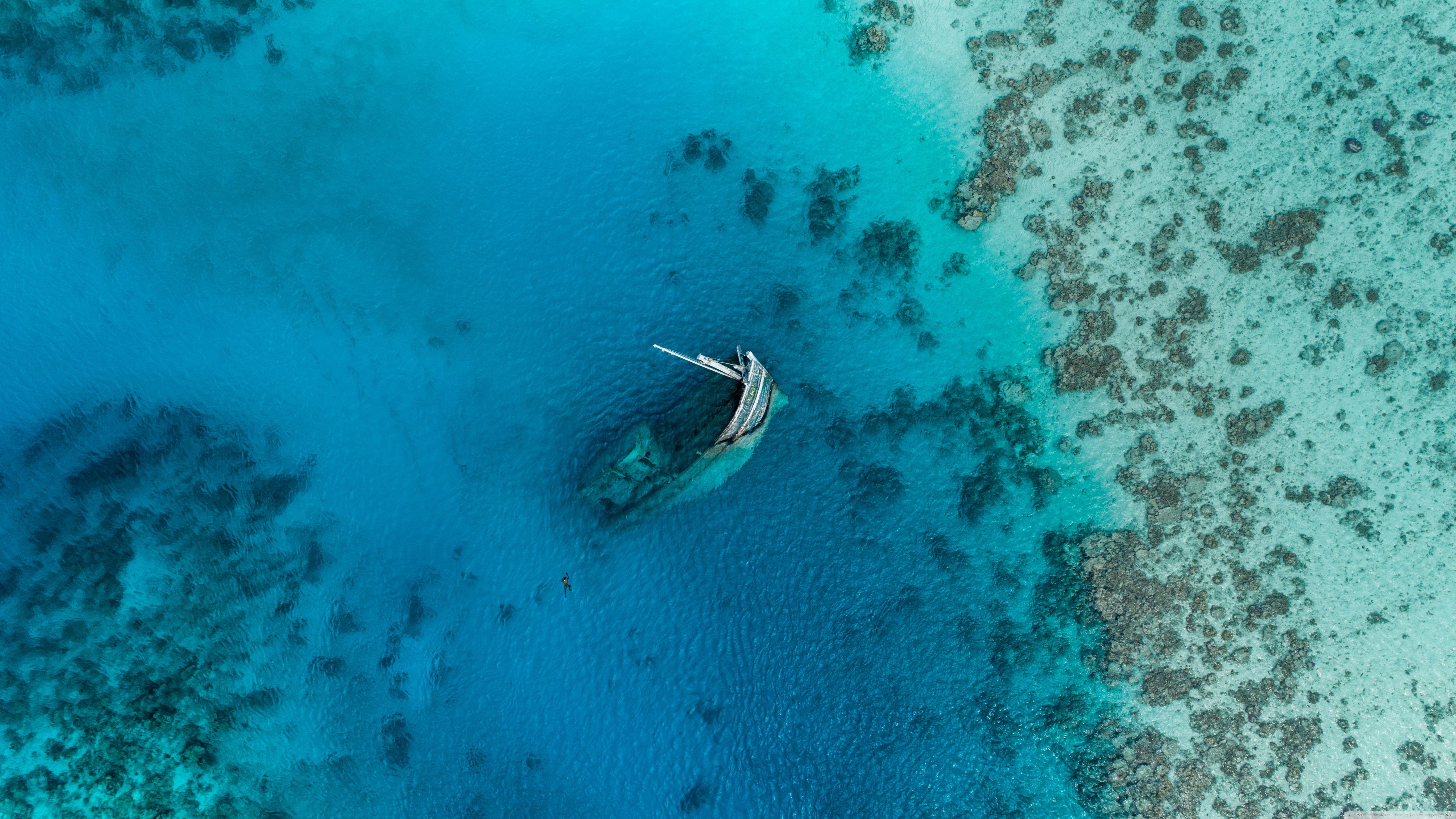 Scuba Diving Wallpaper 4k - 5120x2880 Wallpaper Scuba Diving Wallpaper 4k - 5120x2880 Wallpaper