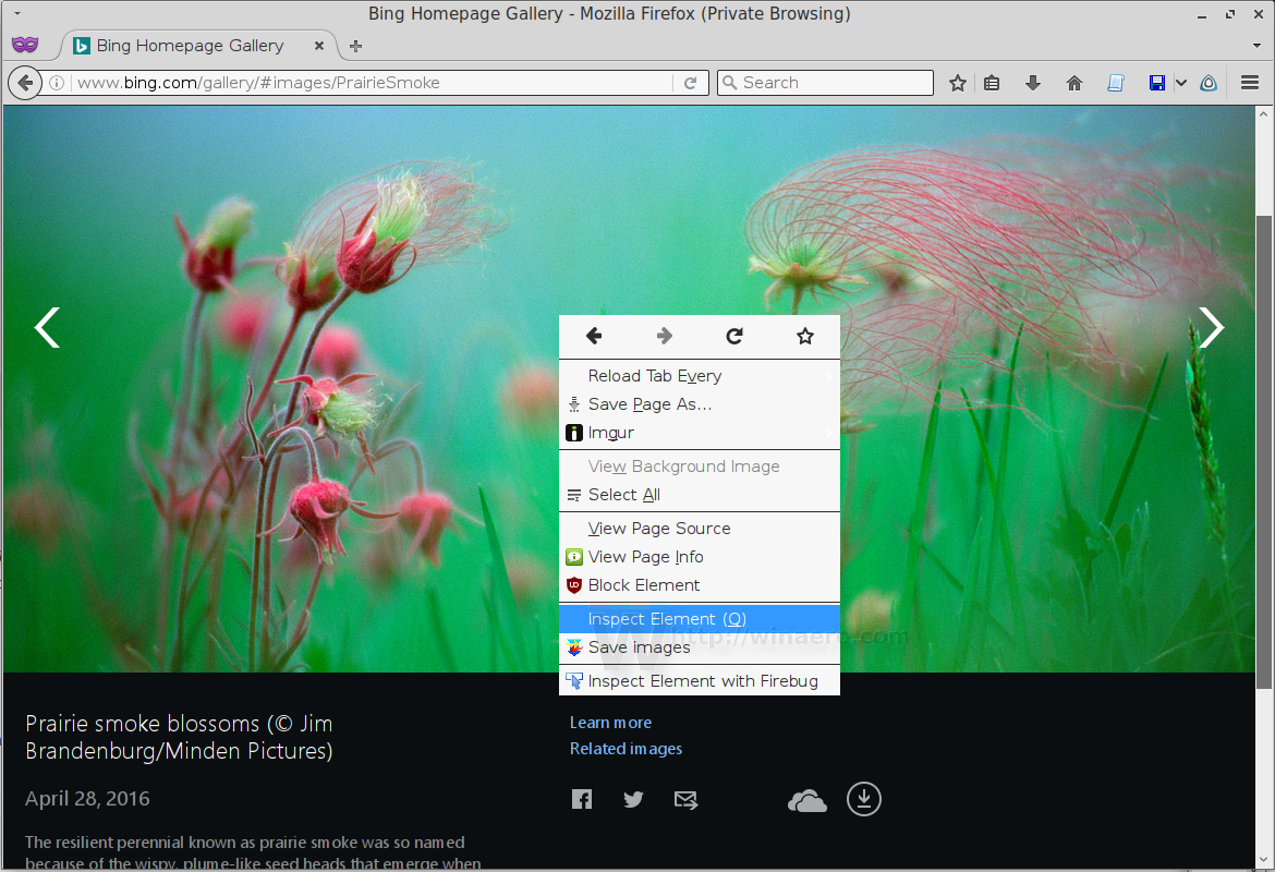 Inspect Element - Jim Brandenburg Prairie Smoke - HD Wallpaper 