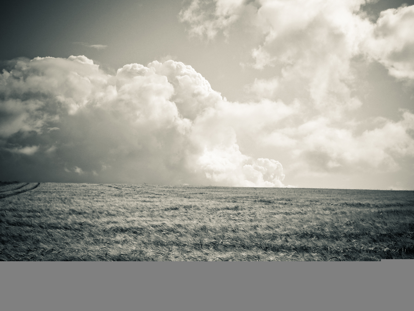 Wallpaper - HD Wallpaper 